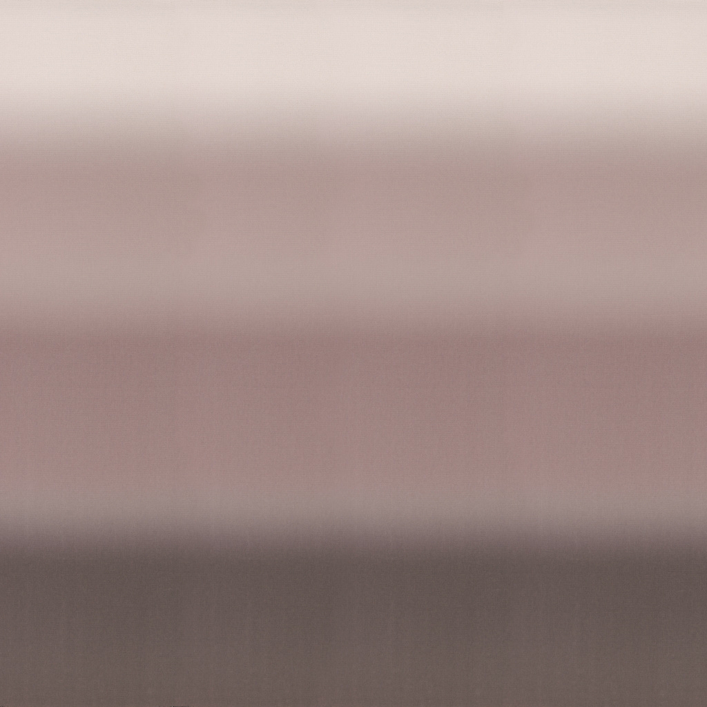 E2907/300
