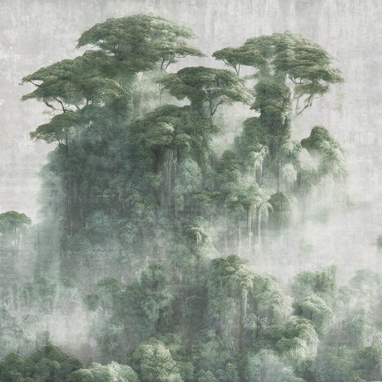 Afficher le produit Concrete Rainforest du fabricant k'moor