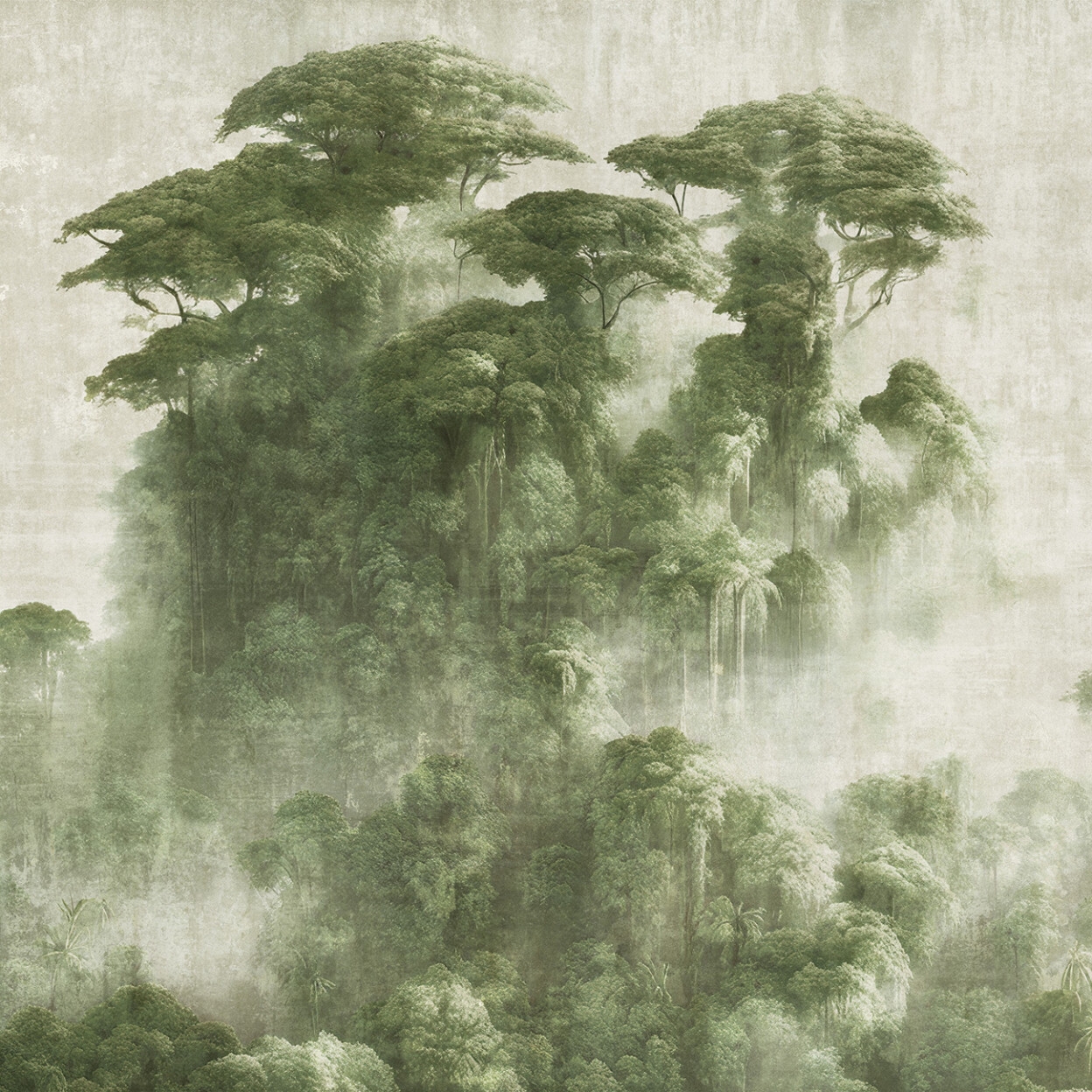 Concrete Rainforest Warm