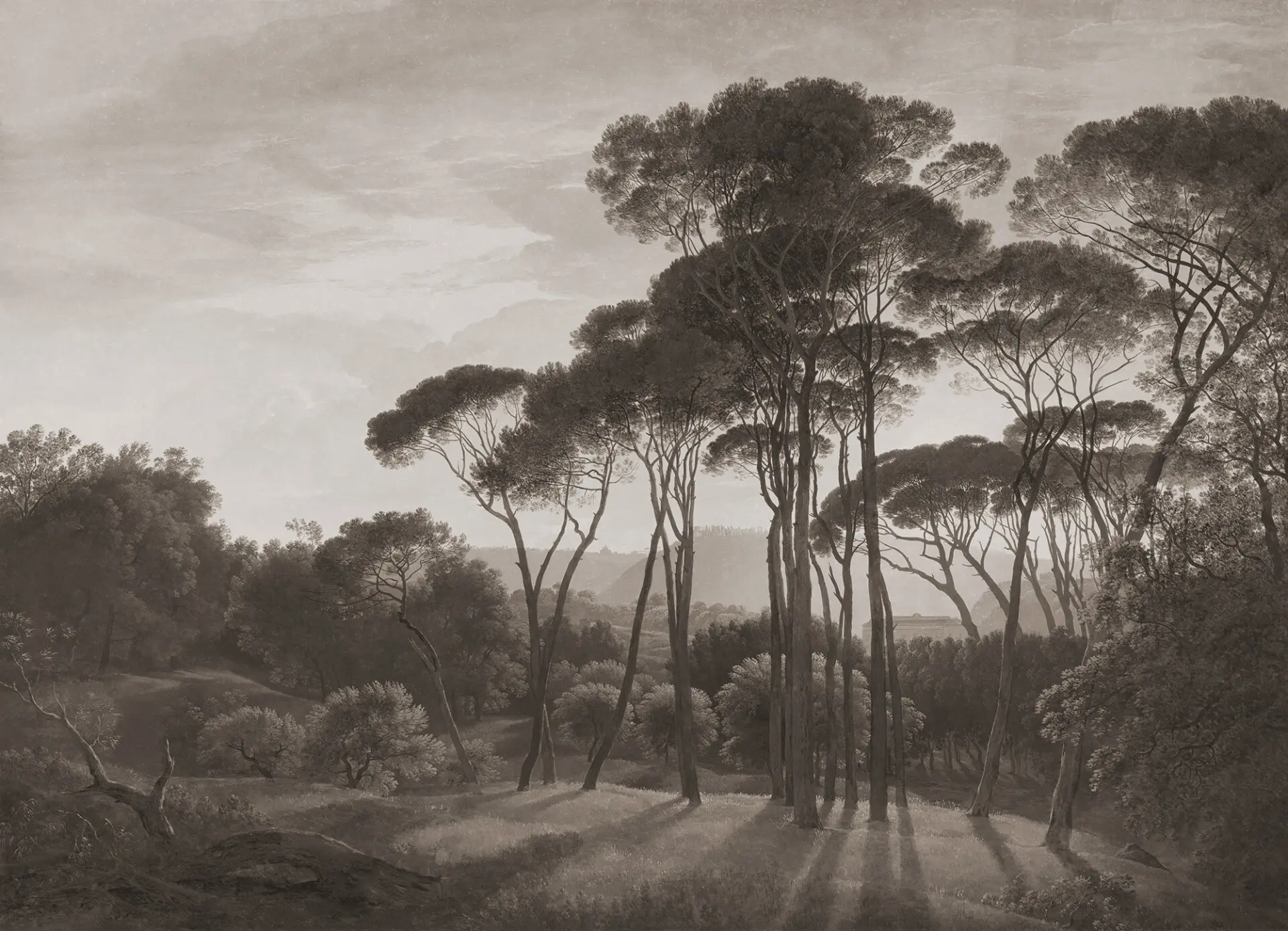 k'moor - Pine Sunset Burnt