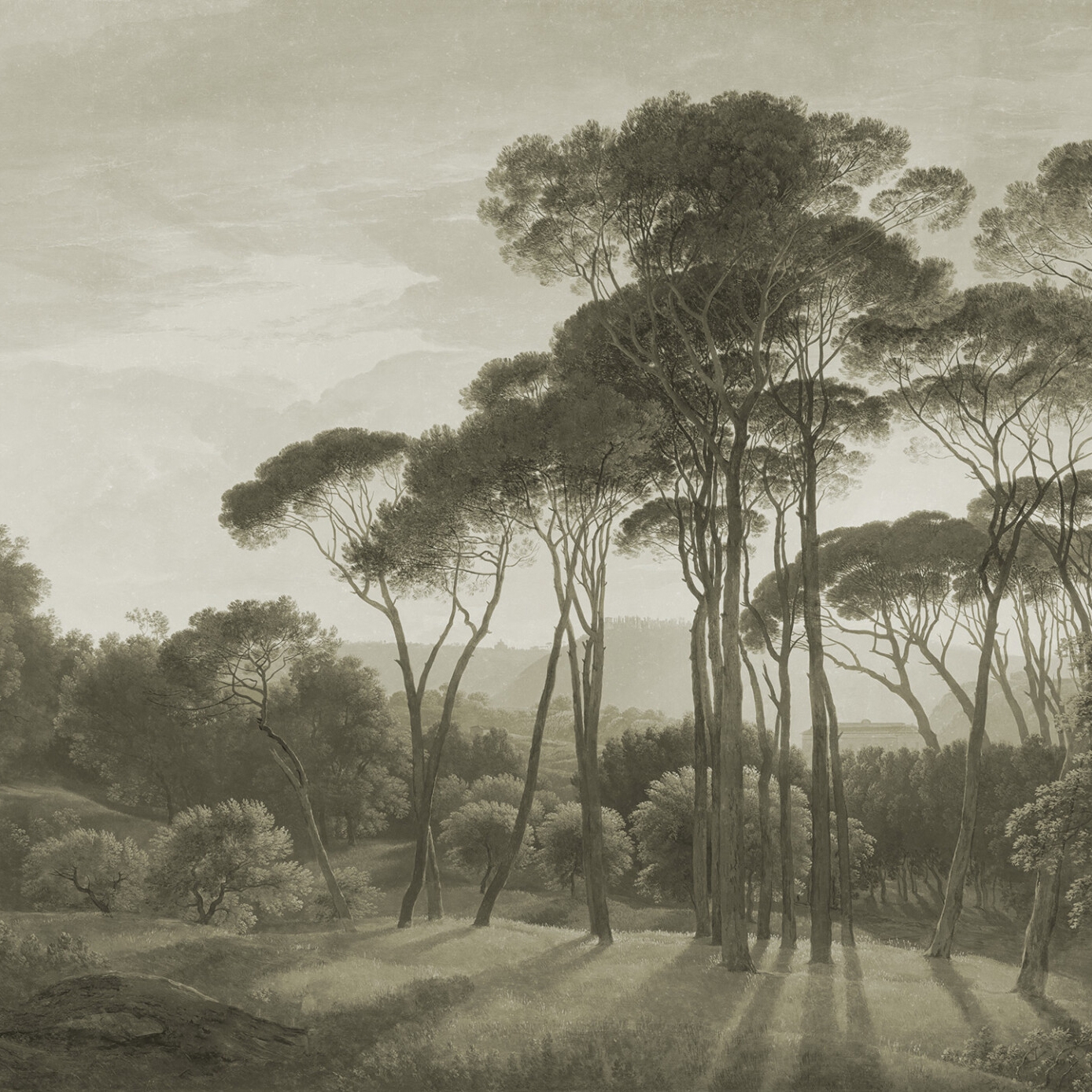 Pine Sunset Sand