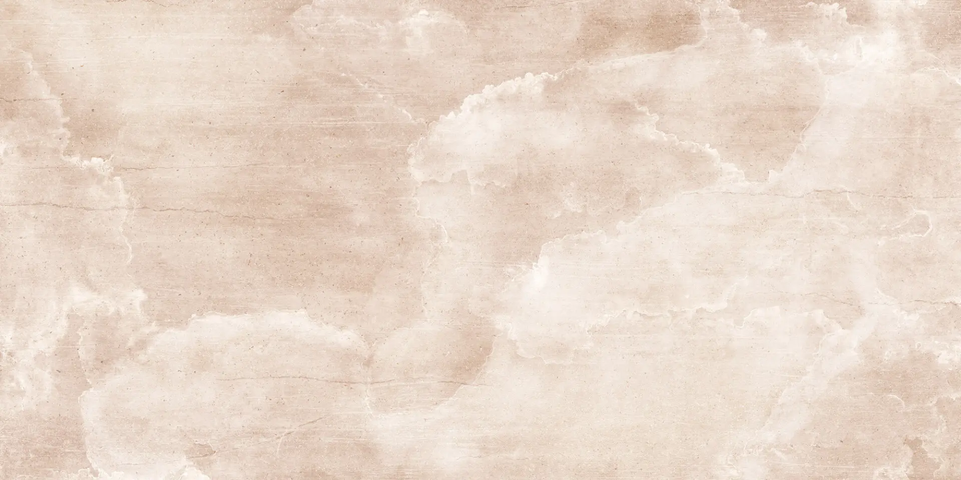 k'moor - Cloud Nine rose