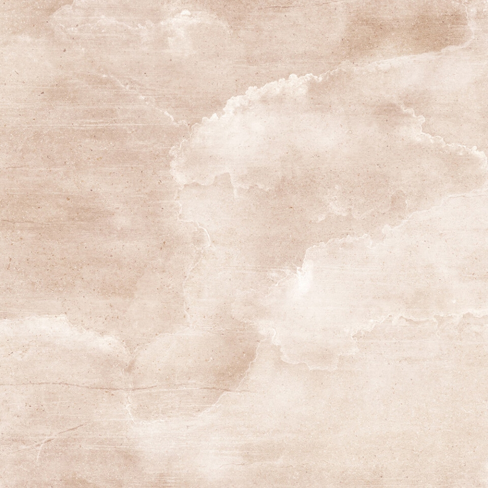 Cloud Nine rose