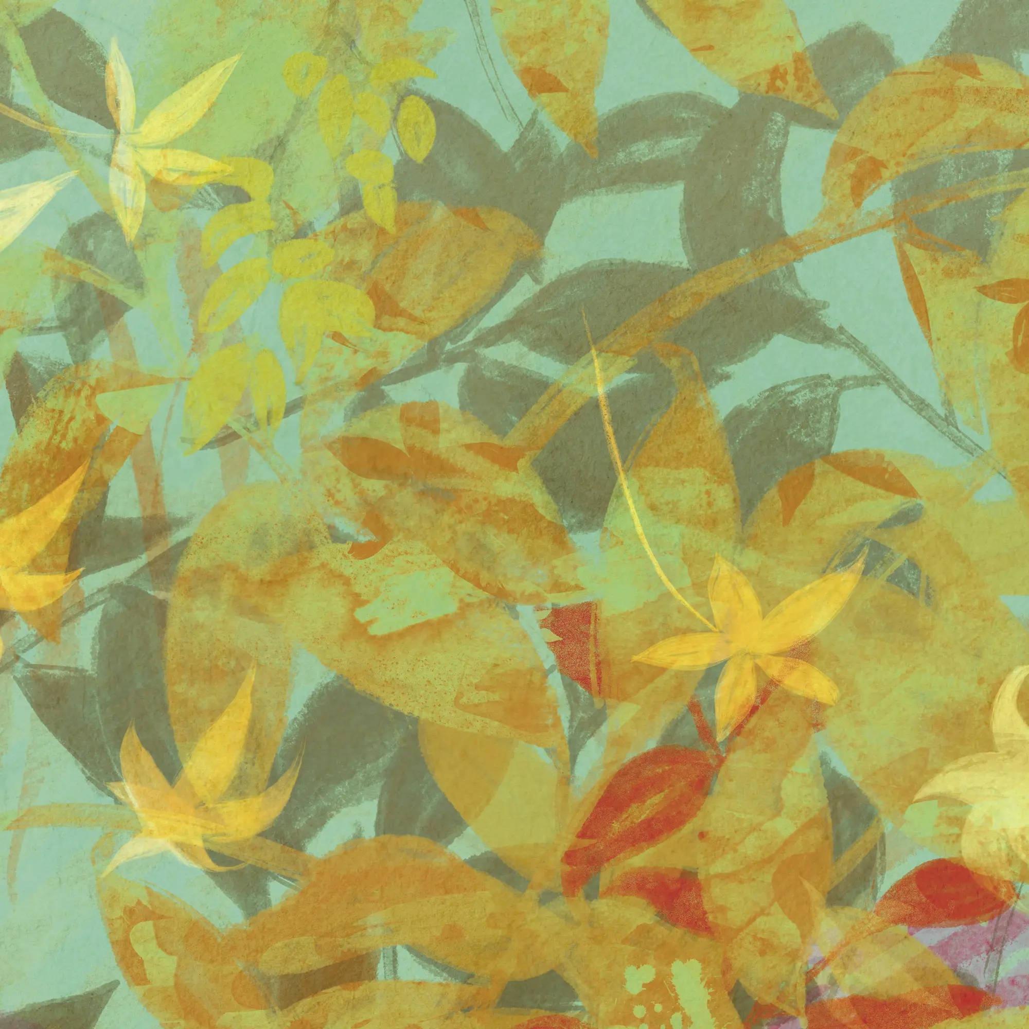 k'moor - Hierba Espléndida