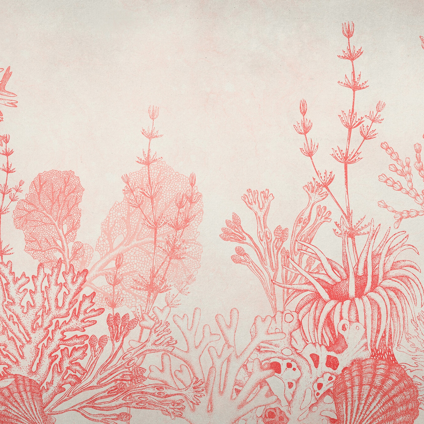 Display product Tresors Marins Coral from manufacturer k'moor