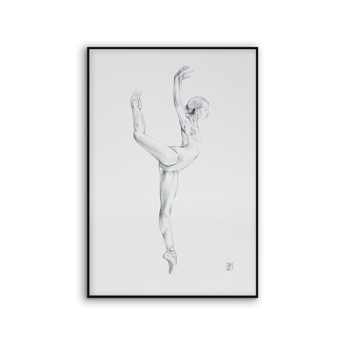 Acousticframe | NCD-CCS03-AF