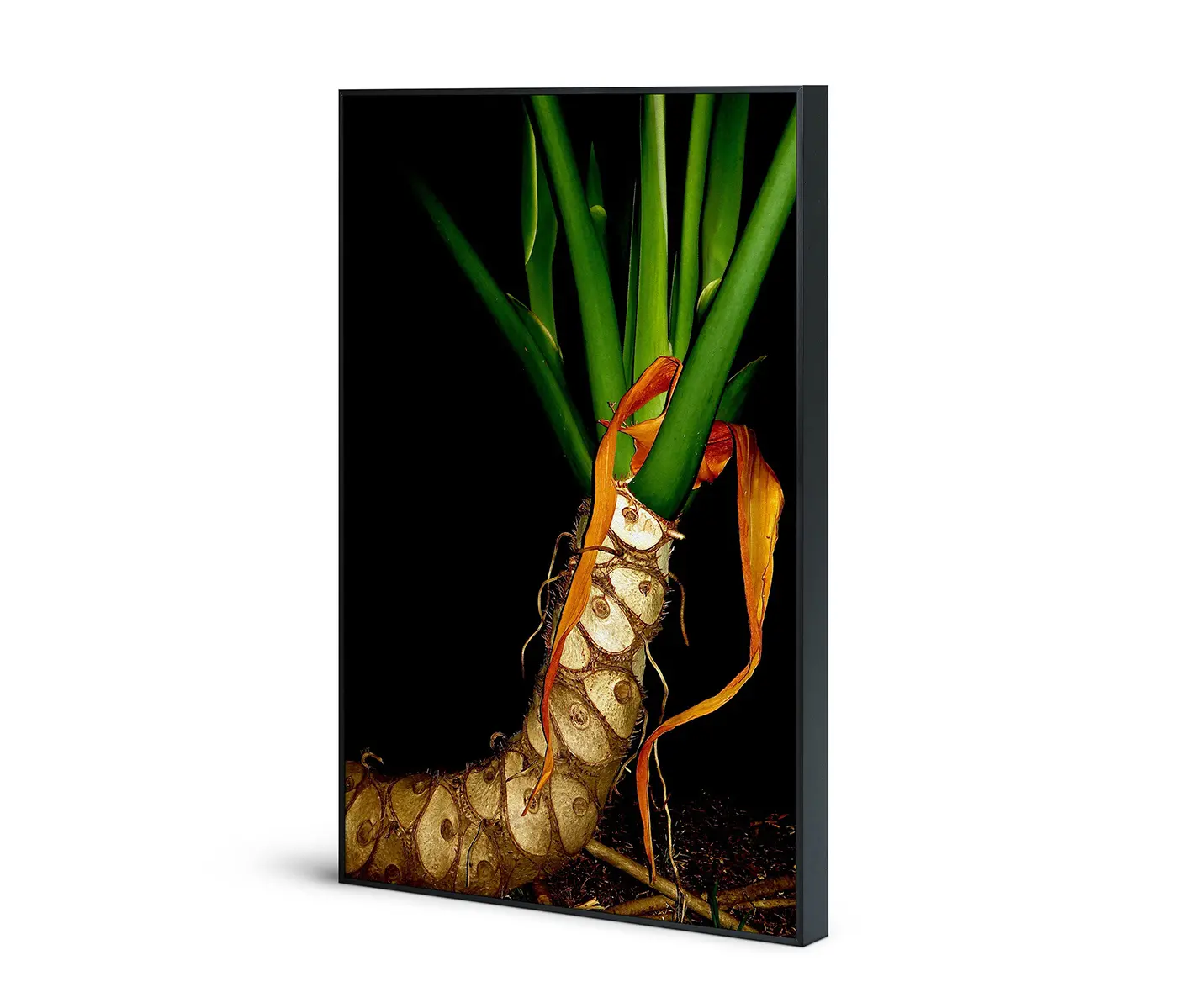 NC Design Group® - Acousticframe | NCD-EBG01-AF