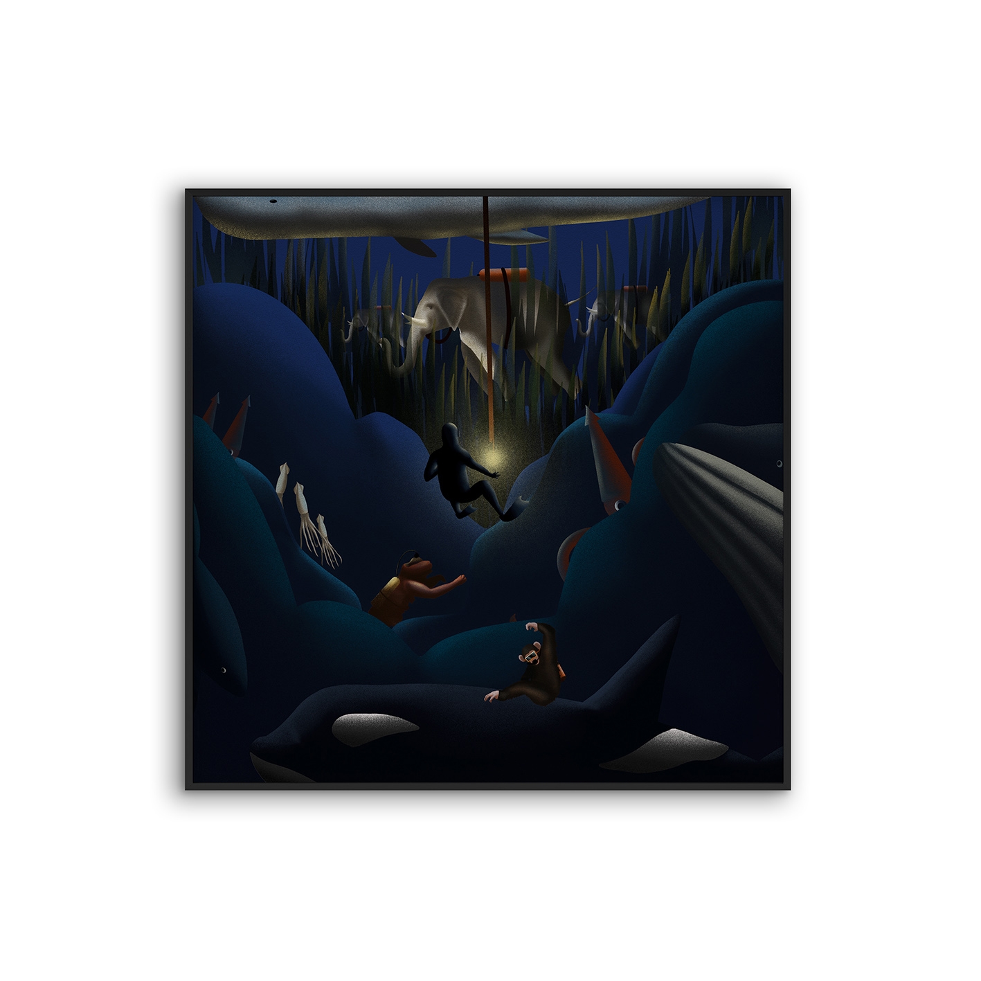 Acousticframe | NCD-FAB01-AF