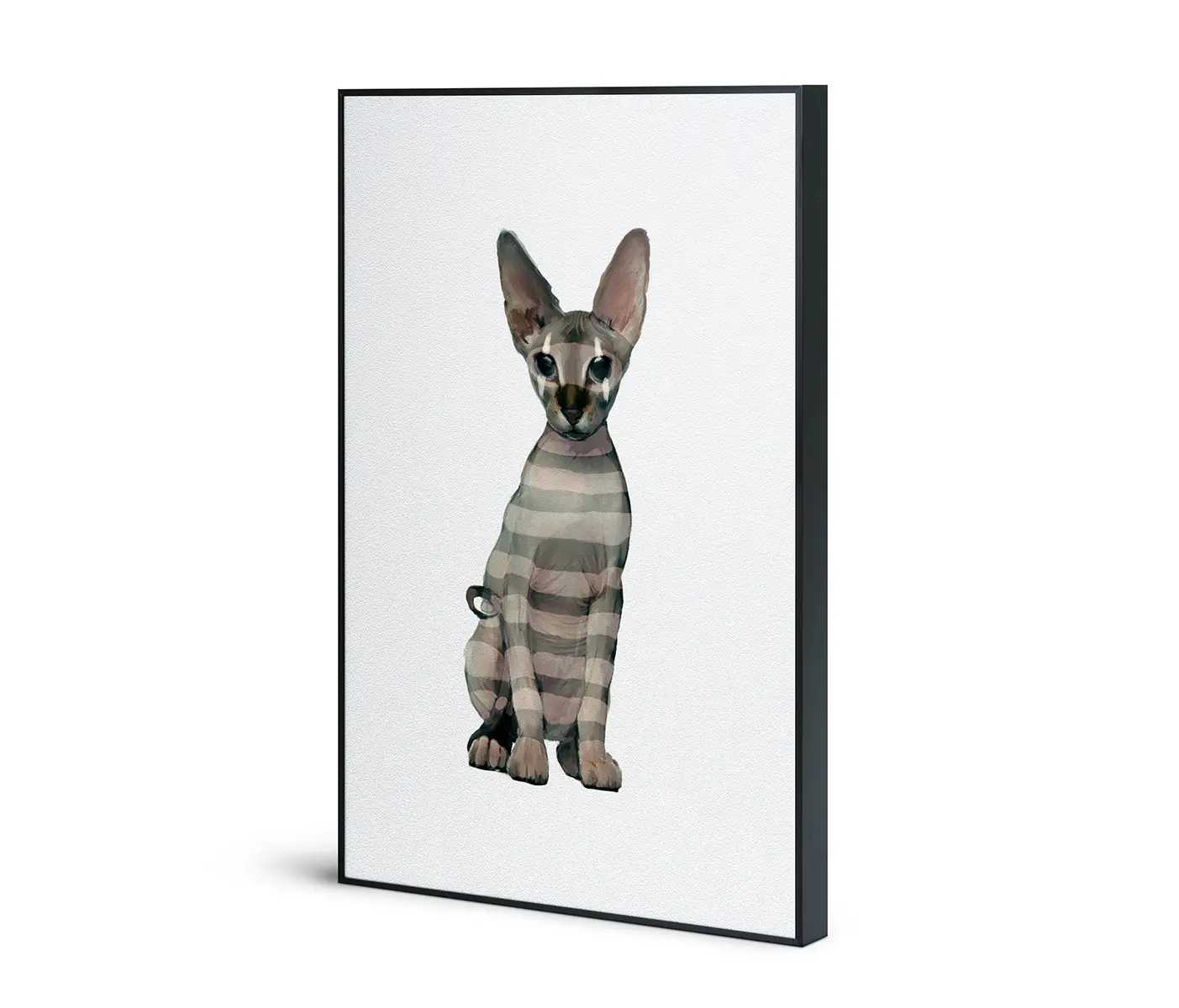 NC Design Group® - Acousticframe | NCD-IGP05-AF