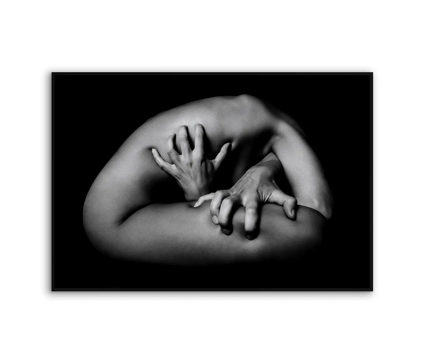 NC Design Group® - Acousticframe | NCD-LMO03-AF