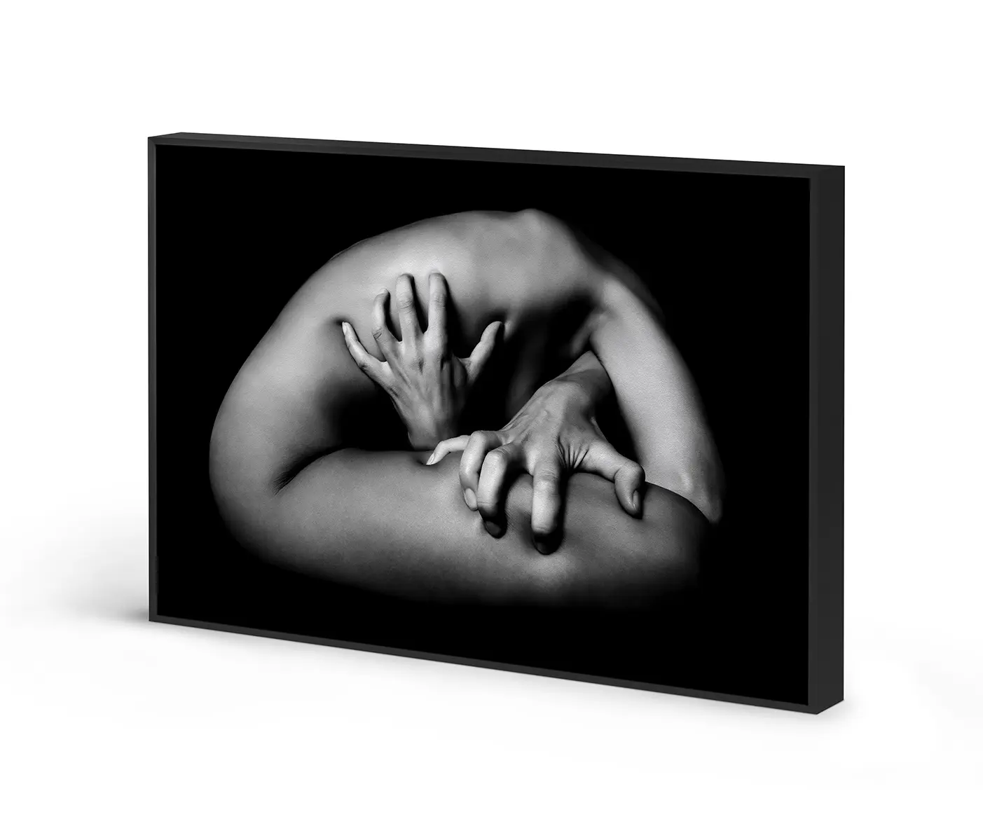 NC Design Group® - Acousticframe | NCD-LMO03-AF