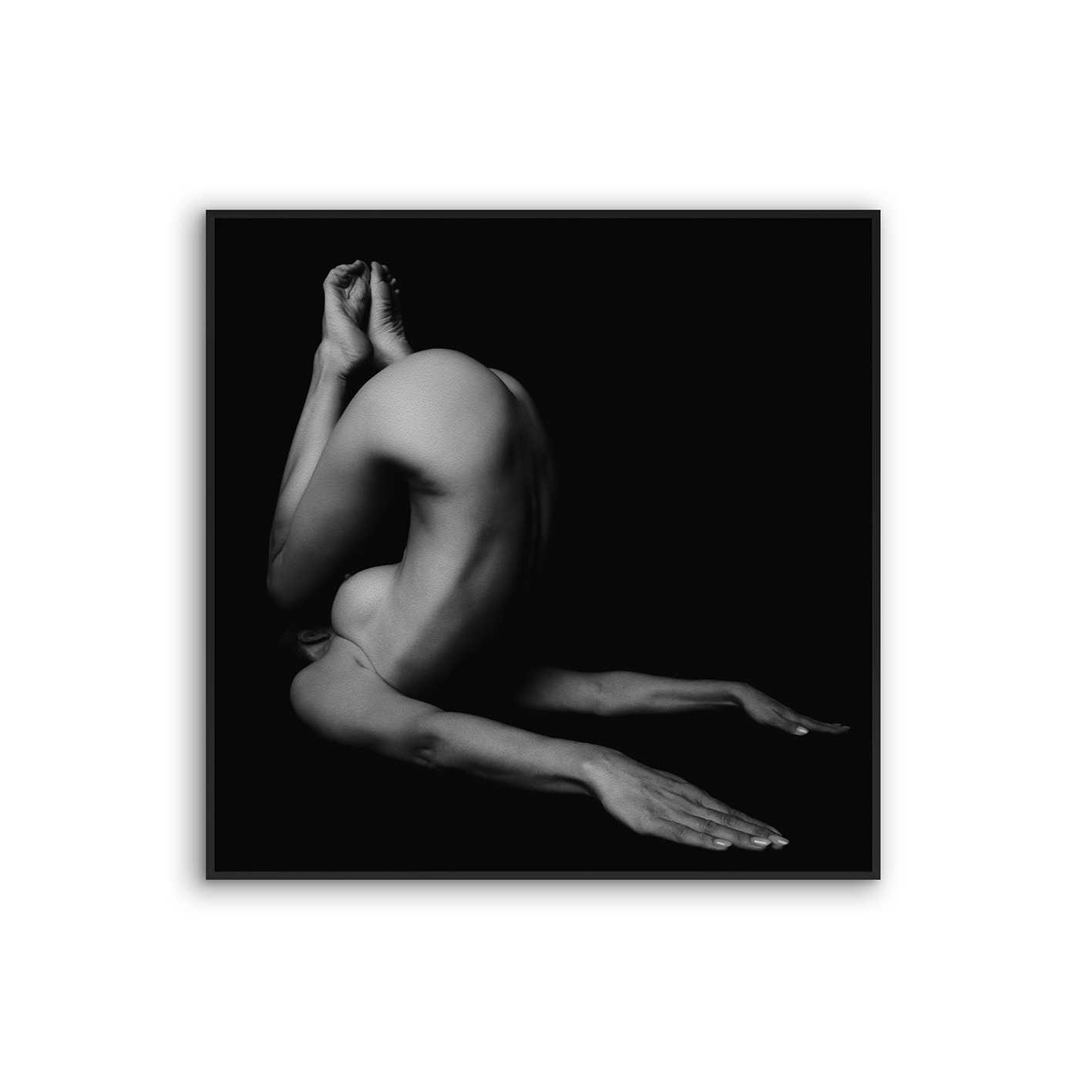 Acousticframe | NCD-LMO05-AF