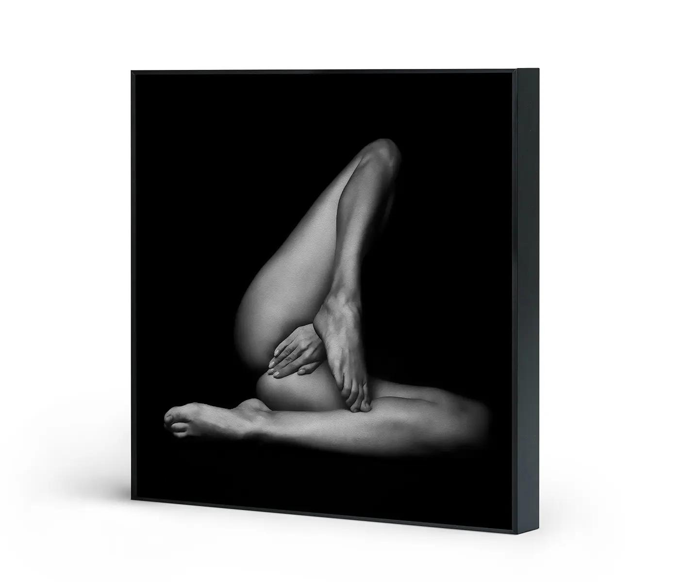 NC Design Group® - Acousticframe | NCD-LMO06-AF