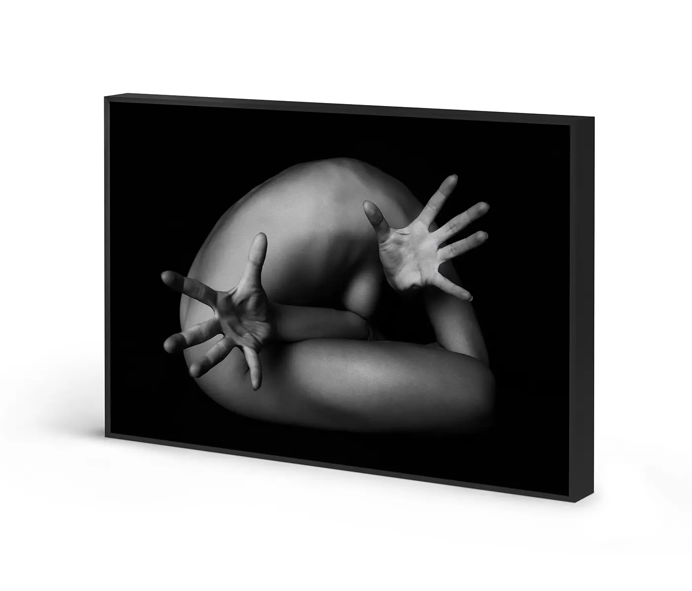 NC Design Group® - Acousticframe | NCD-LMO07-AF