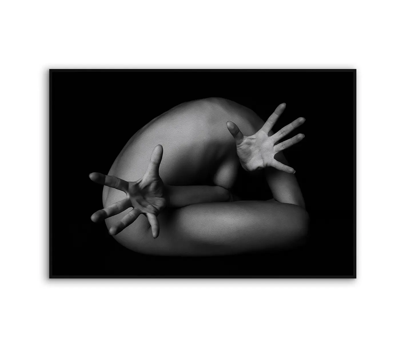 NC Design Group® - Acousticframe | NCD-LMO07-AF