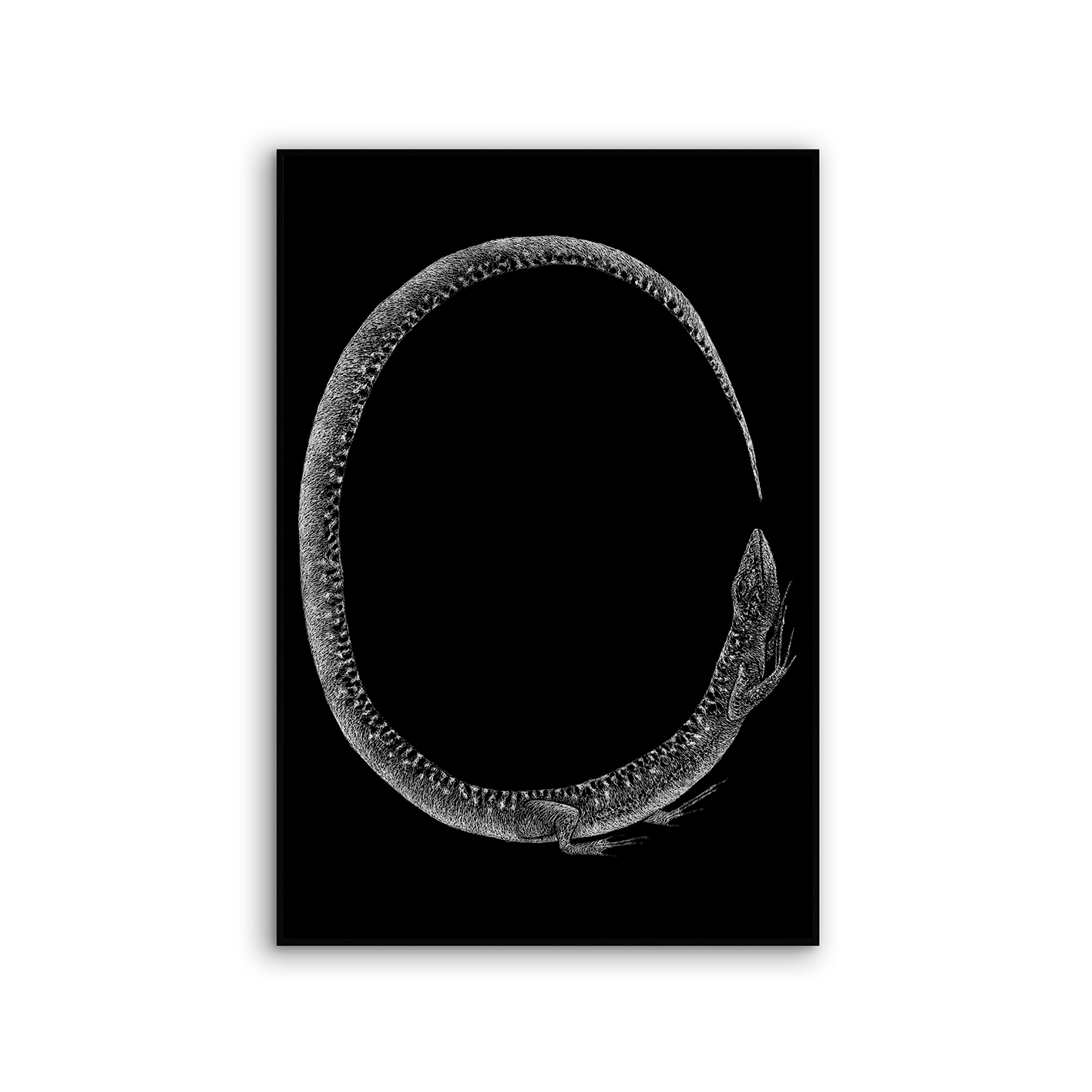 Acousticframe | NCD-LMR09-AF