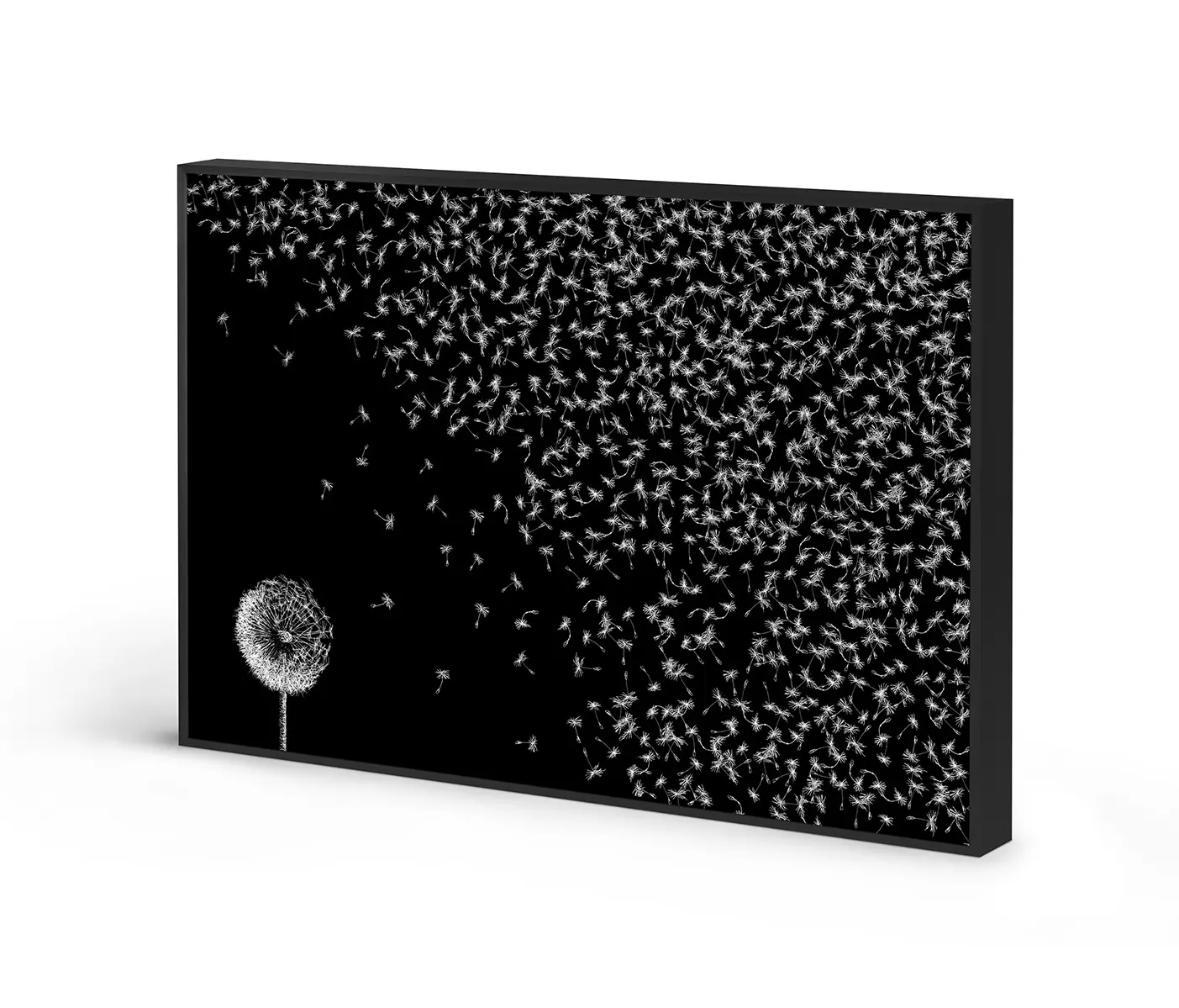 NC Design Group® - Acousticframe | NCD-LMR11-AF