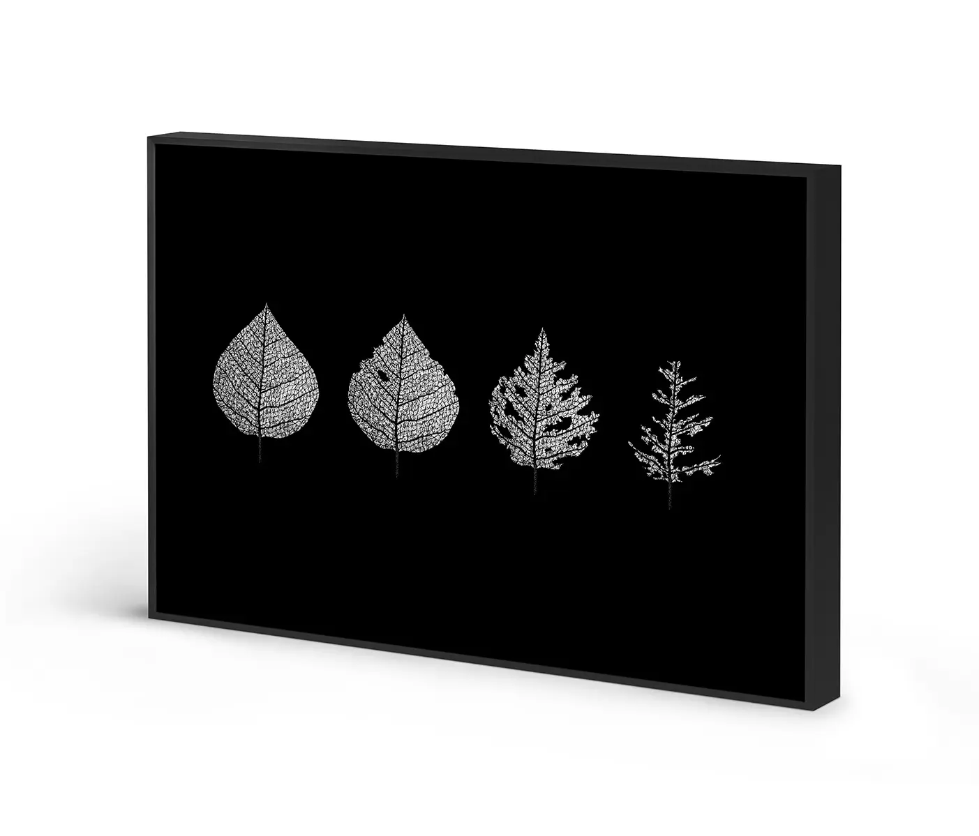 NC Design Group® - Acousticframe | NCD-LMR12-AF