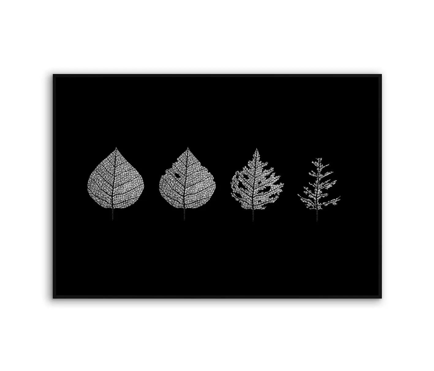 NC Design Group® - Acousticframe | NCD-LMR12-AF