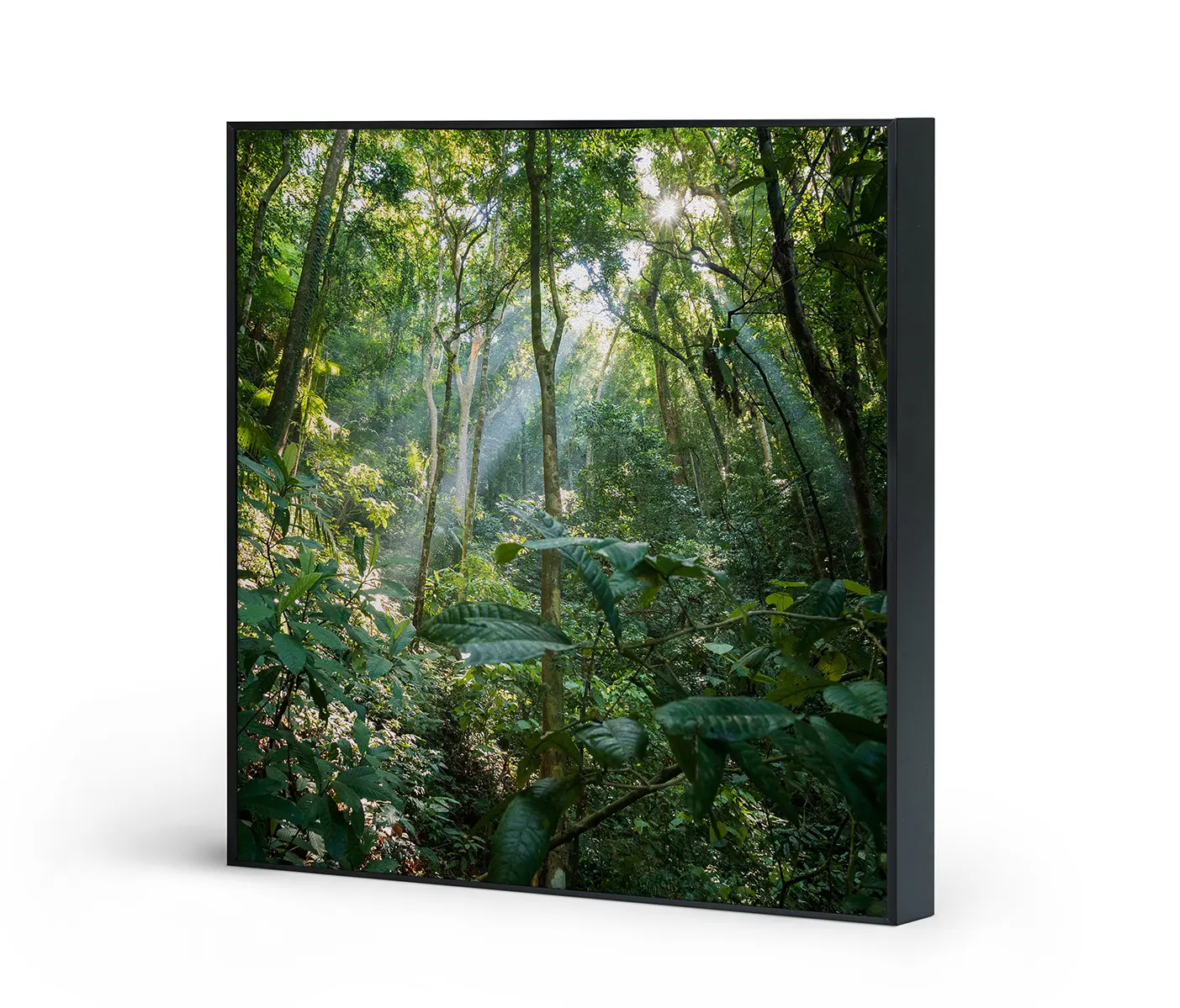 NC Design Group® - Acousticframe | NCD-MFV09-AF