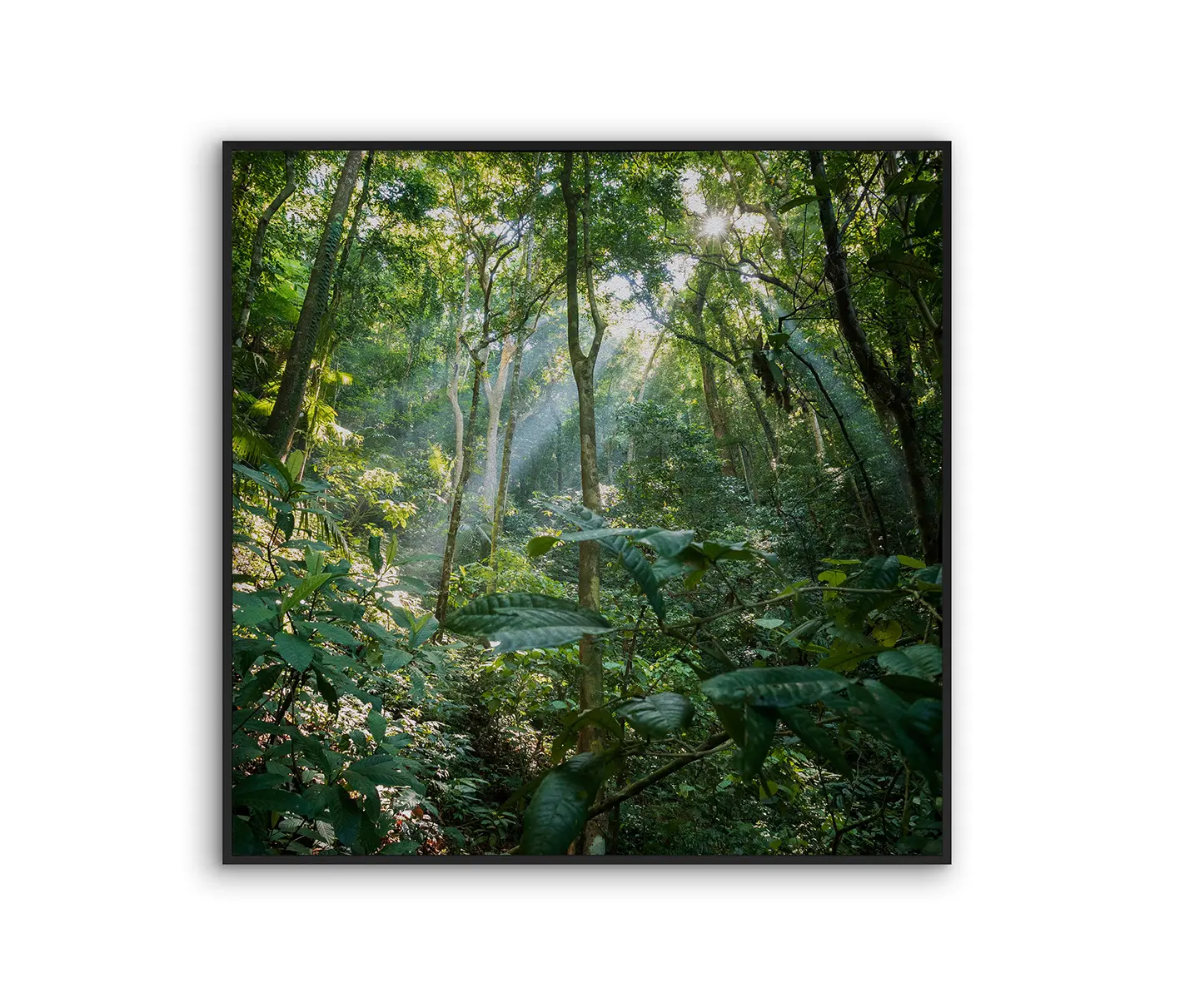 NC Design Group® - Acousticframe | NCD-MFV09-AF