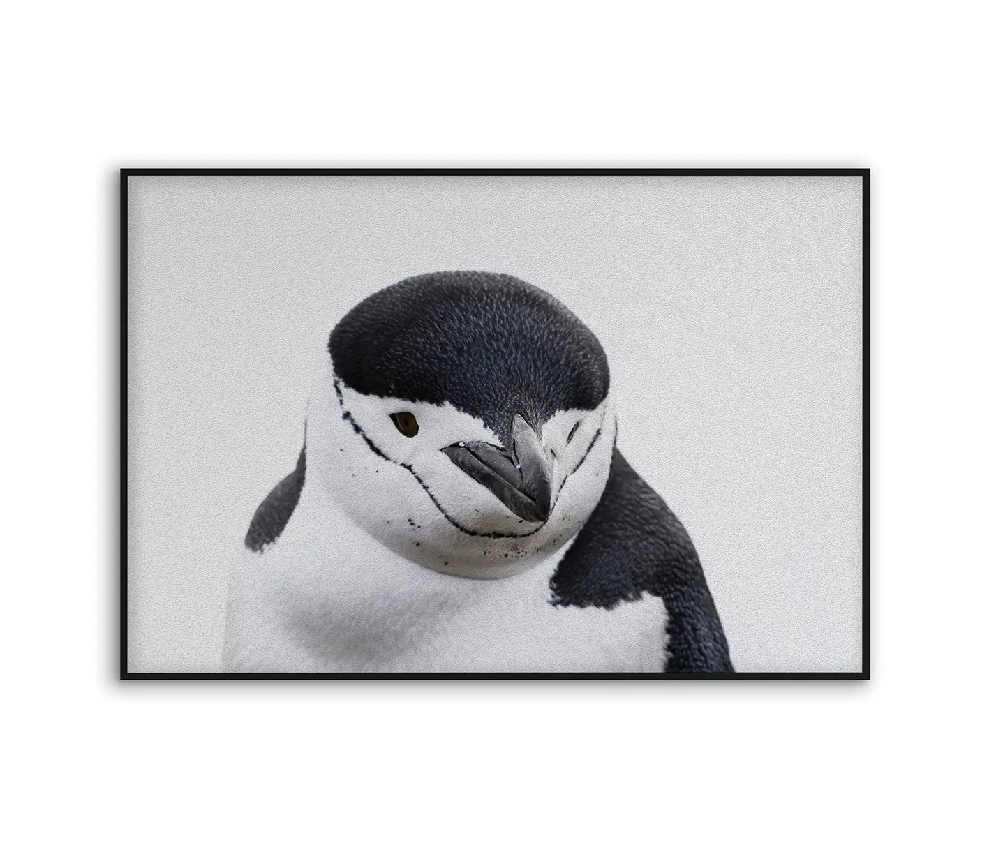 NC Design Group® - Acousticframe | NCD-PTZ03-AF