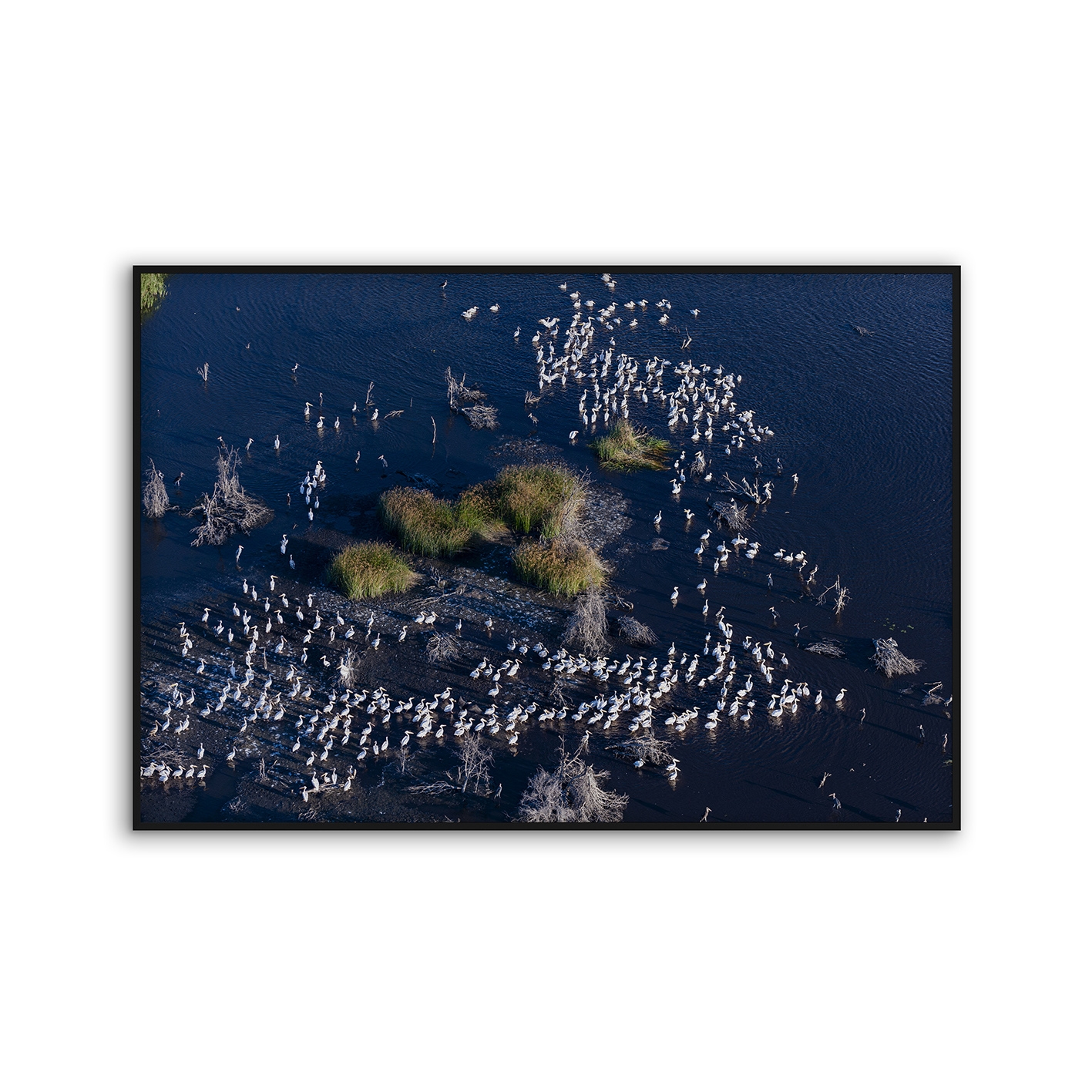 Acousticframe | NCD-PTZ07-AF