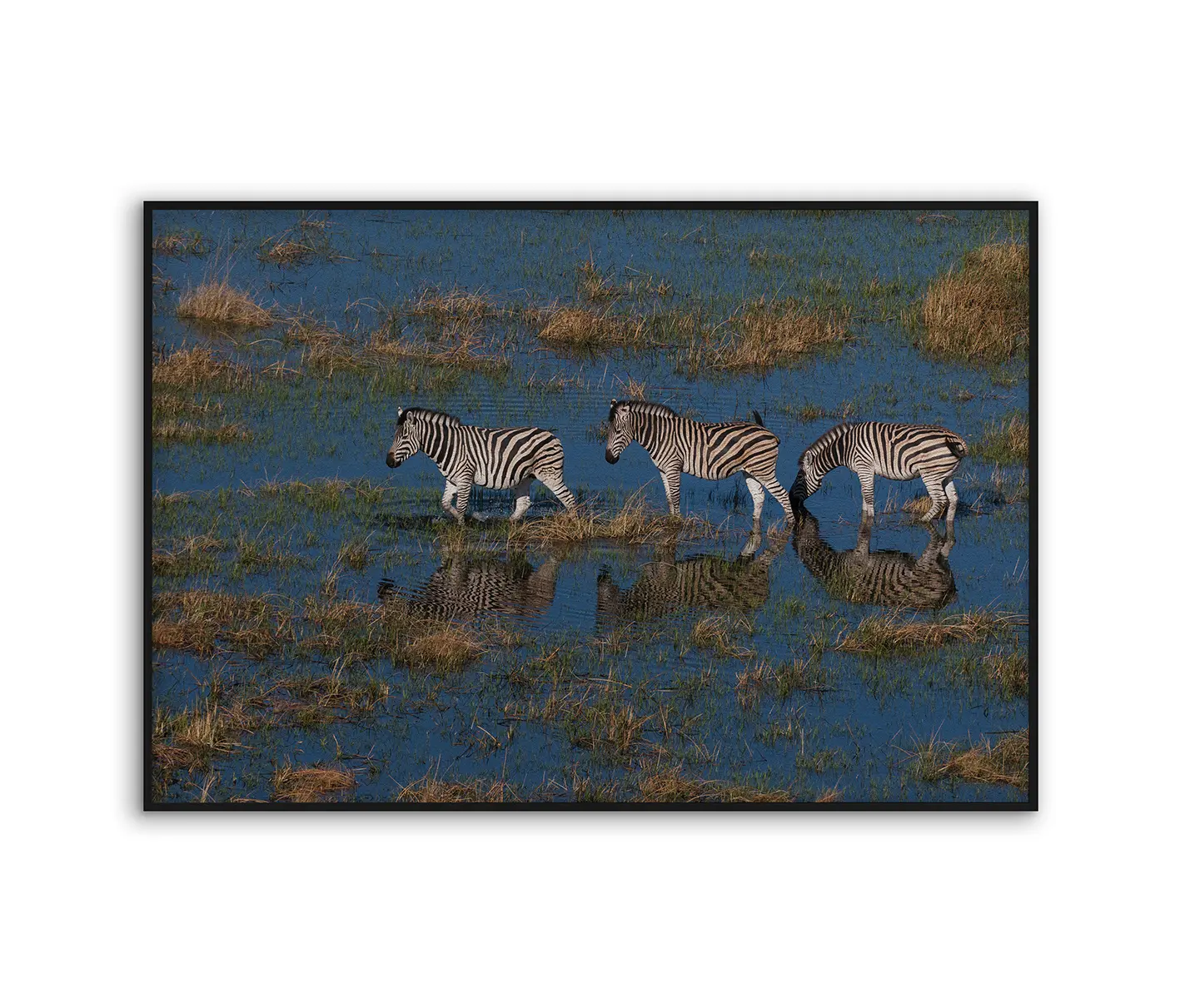 NC Design Group® - Acousticframe | NCD-PTZ08-AF