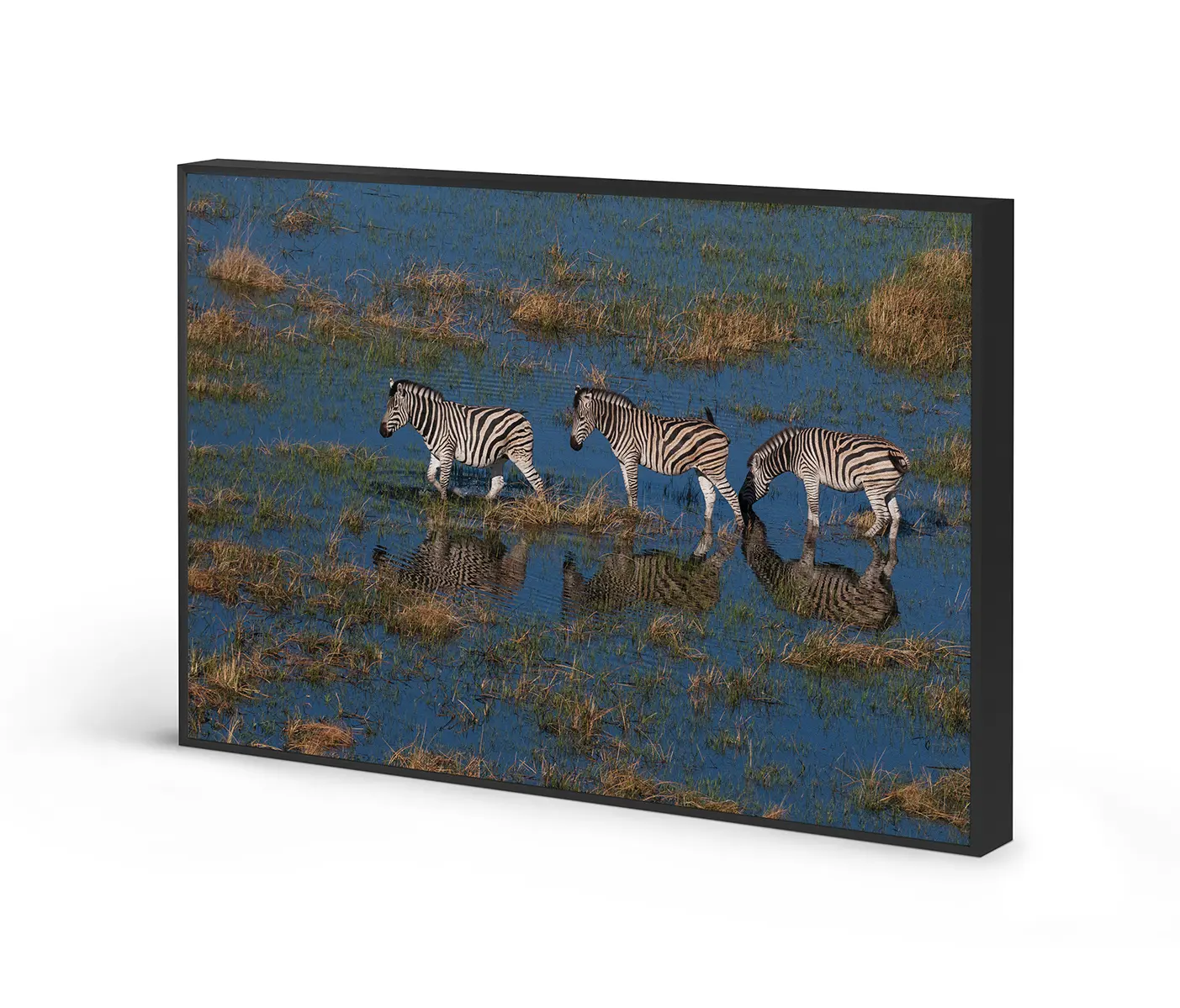 NC Design Group® - Acousticframe | NCD-PTZ08-AF