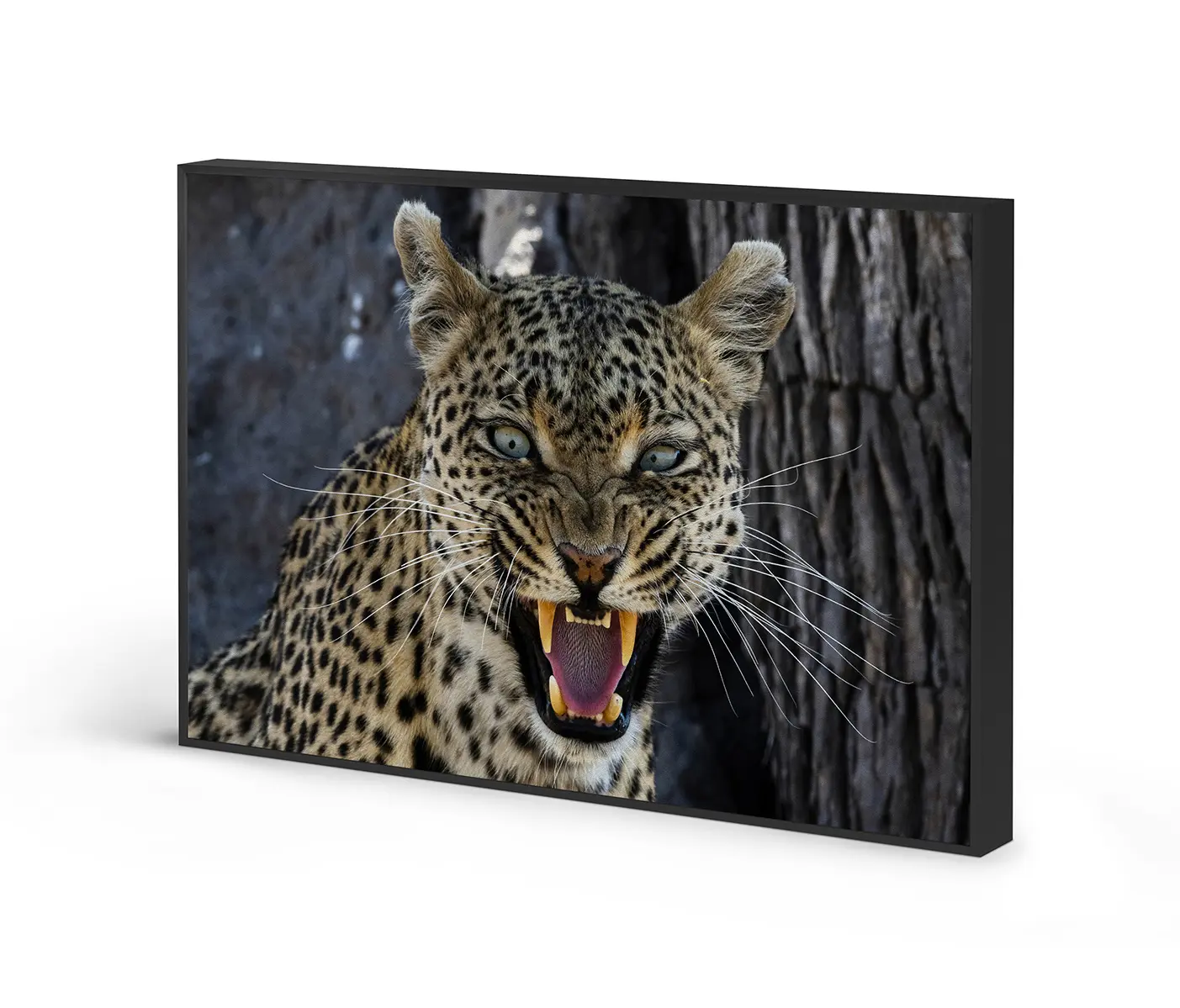 NC Design Group® - Acousticframe | NCD-PTZ10-AF