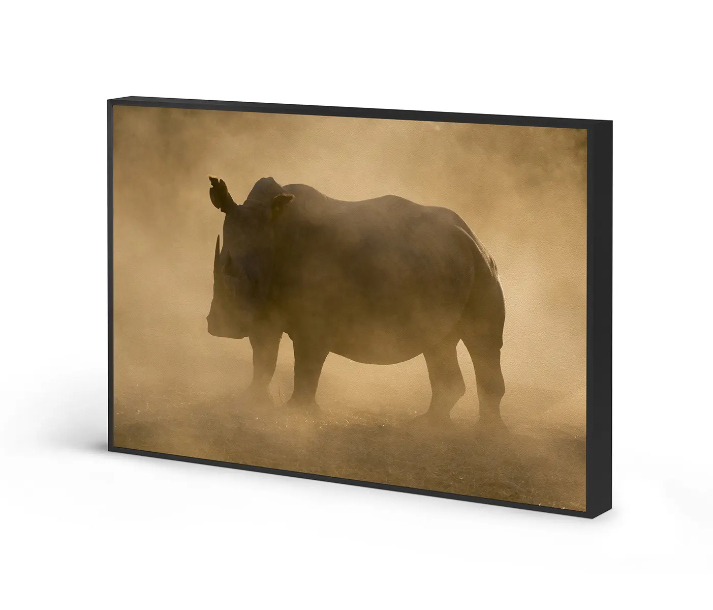 NC Design Group® - Acousticframe | NCD-PTZ11-AF