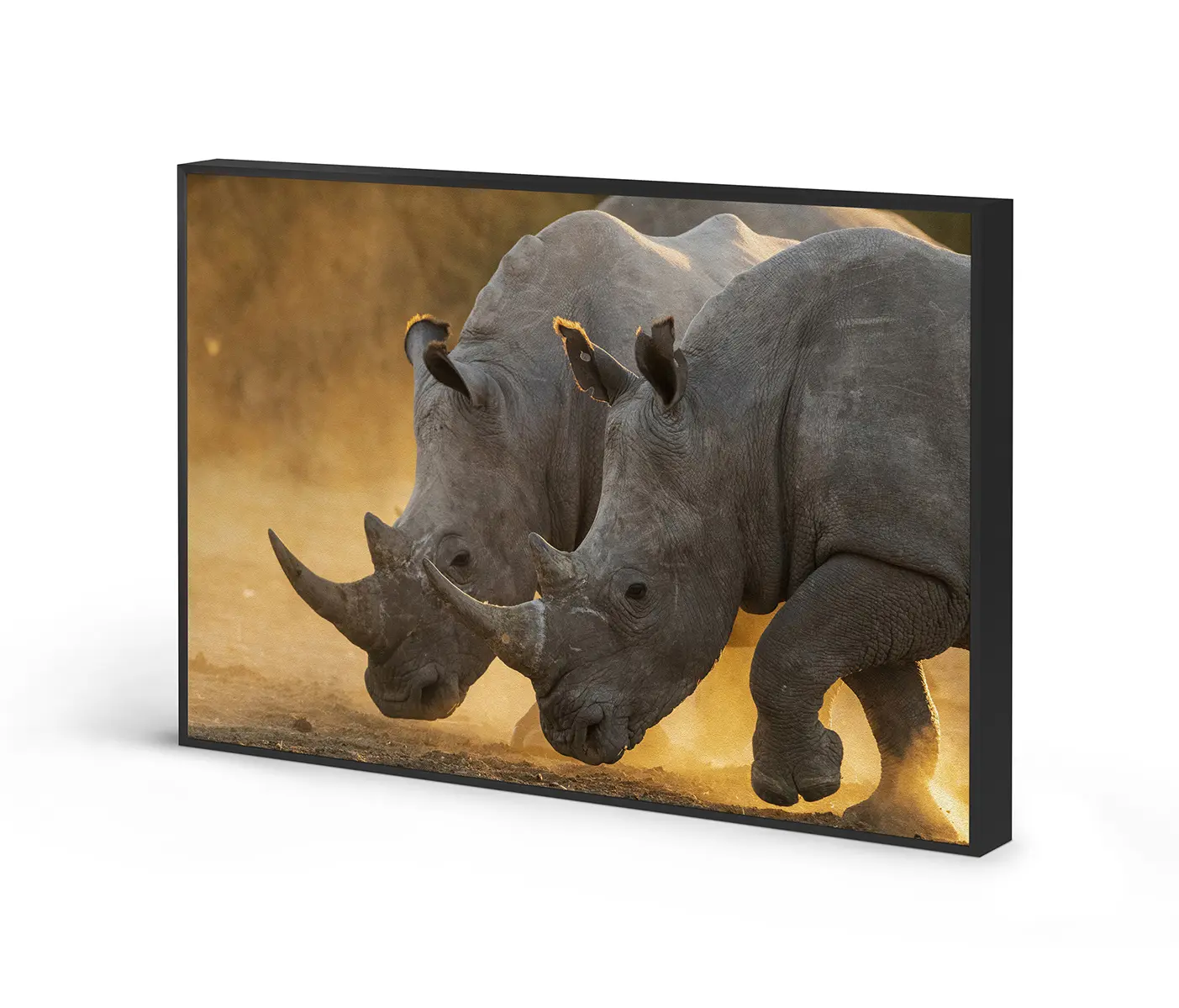 NC Design Group® - Acousticframe | NCD-PTZ12-AF