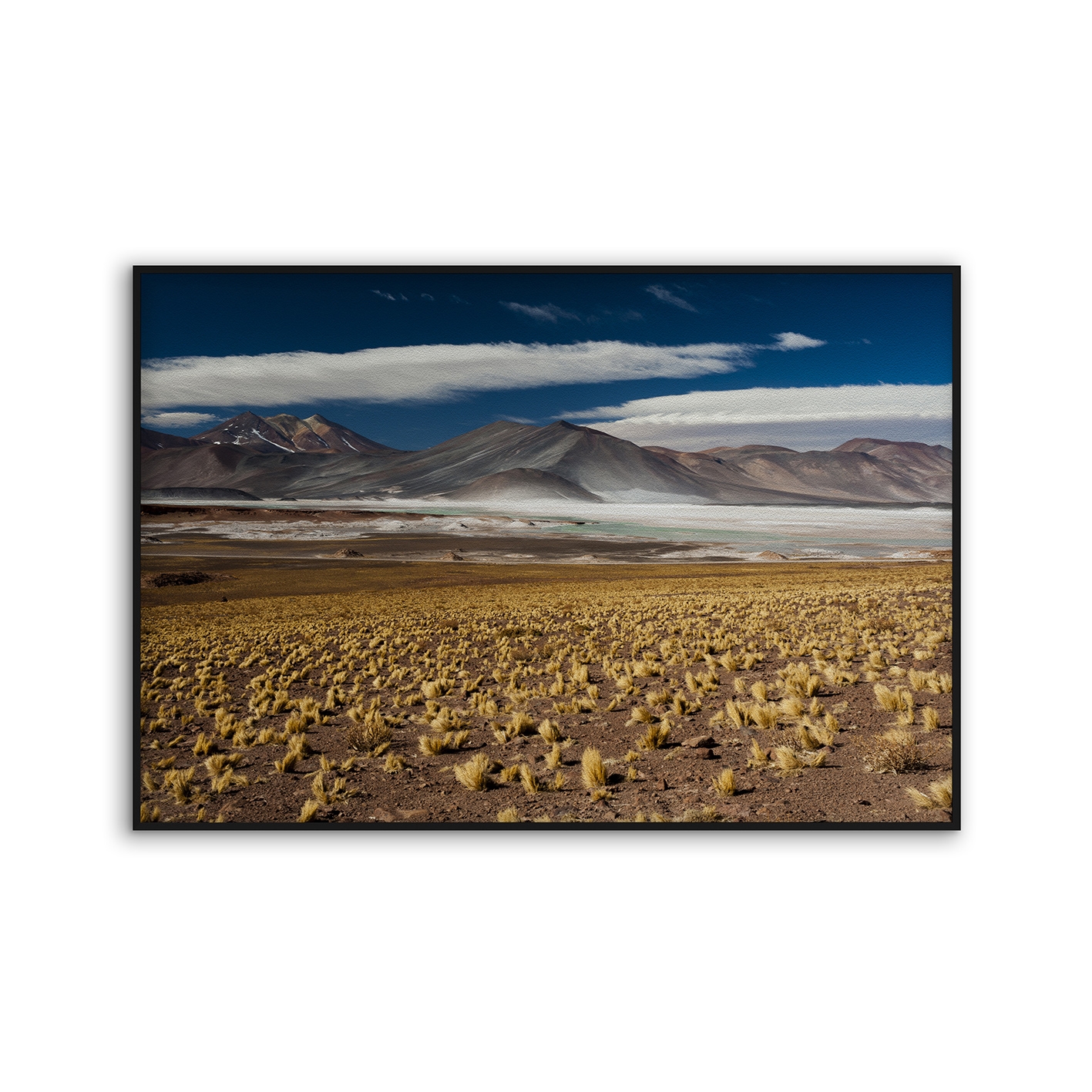 Acousticframe | NCD-PTZ14-AF