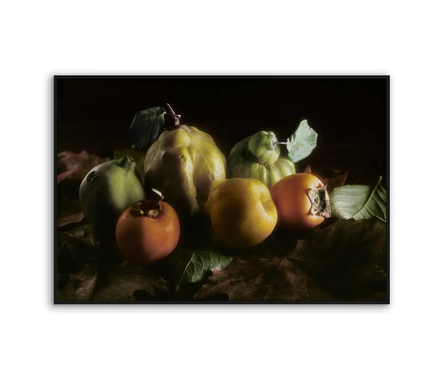 NC Design Group® - Acousticframe | NCD-RNC02-AF