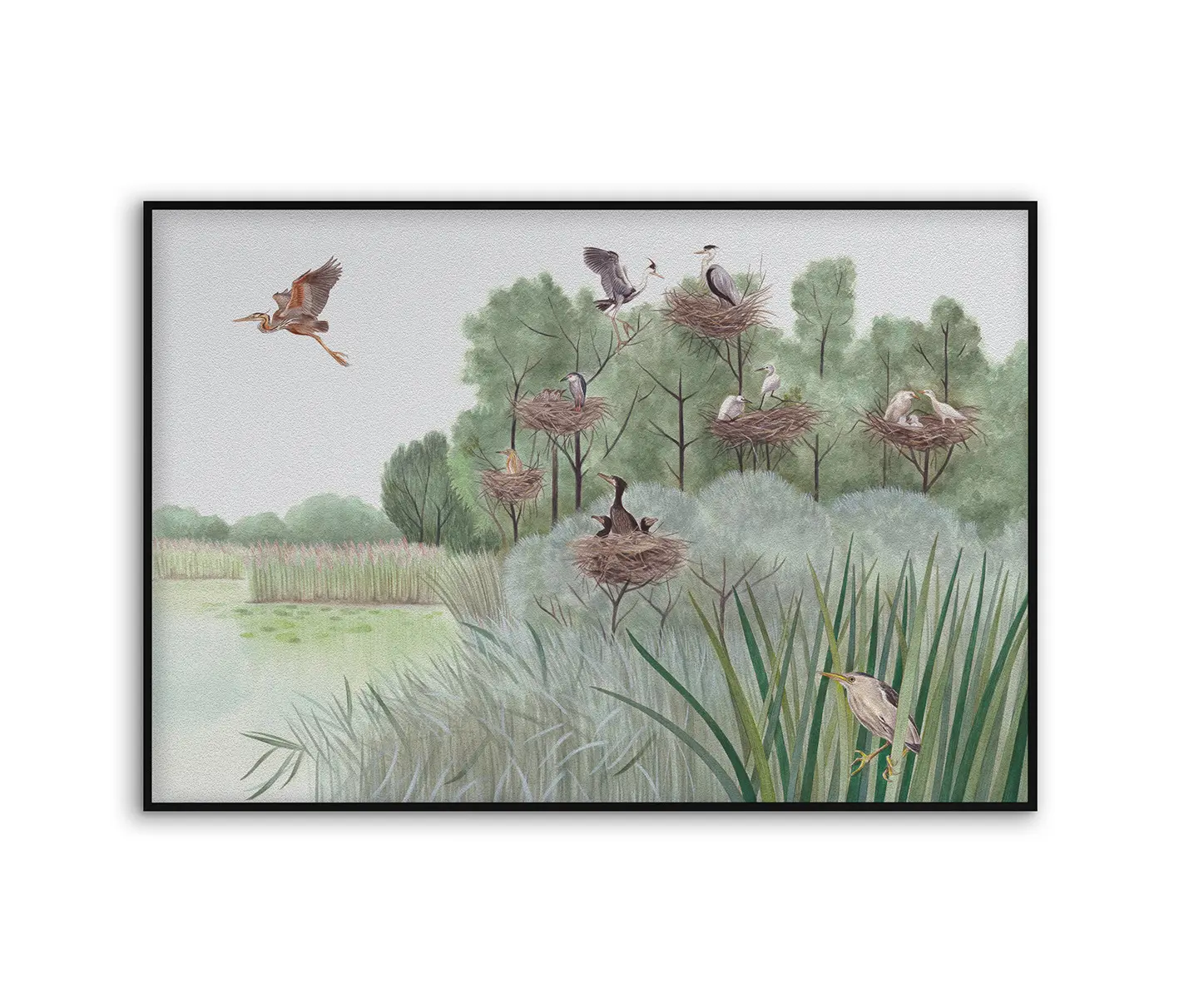 NC Design Group® - Acousticframe | NCD-SLU02-AF