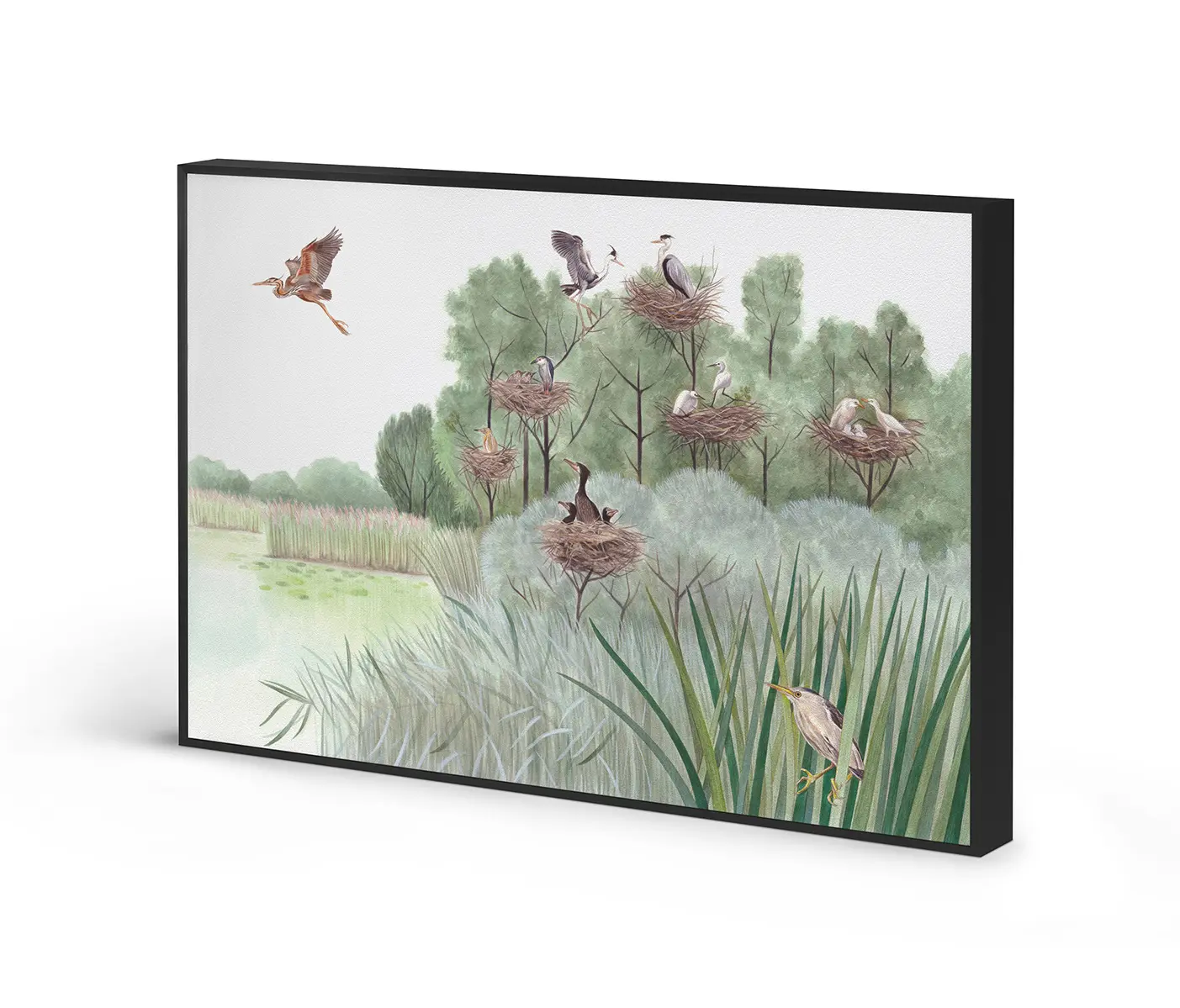 NC Design Group® - Acousticframe | NCD-SLU02-AF