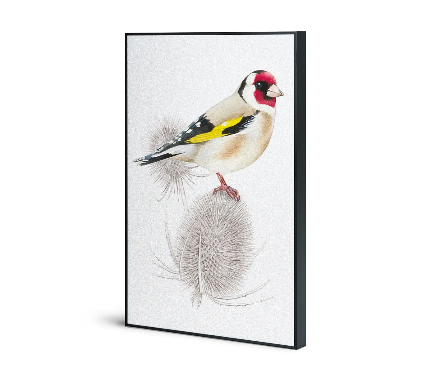 NC Design Group® - Acousticframe | NCD-SLU05-AF