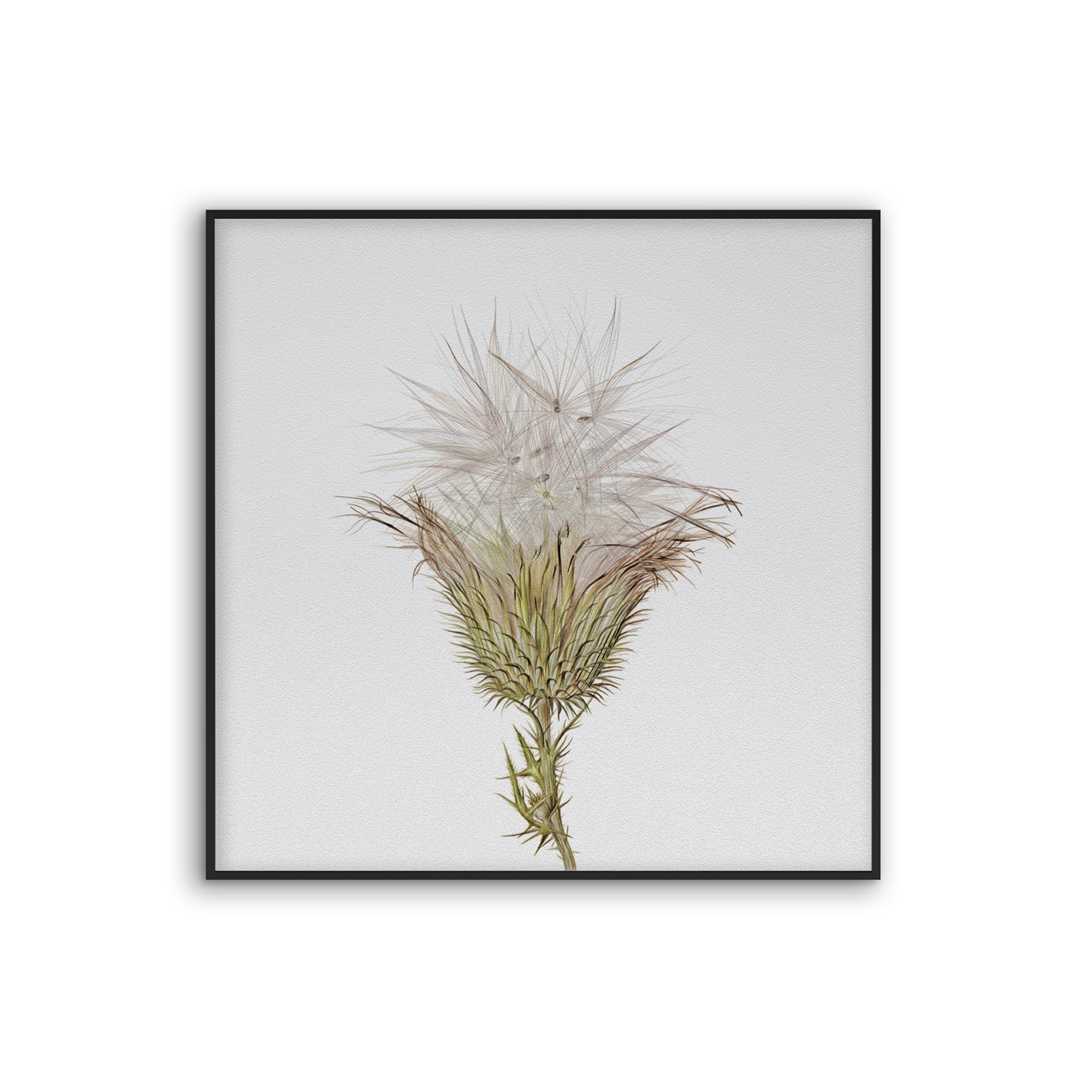 Acousticframe | NCD-SLU07-AF