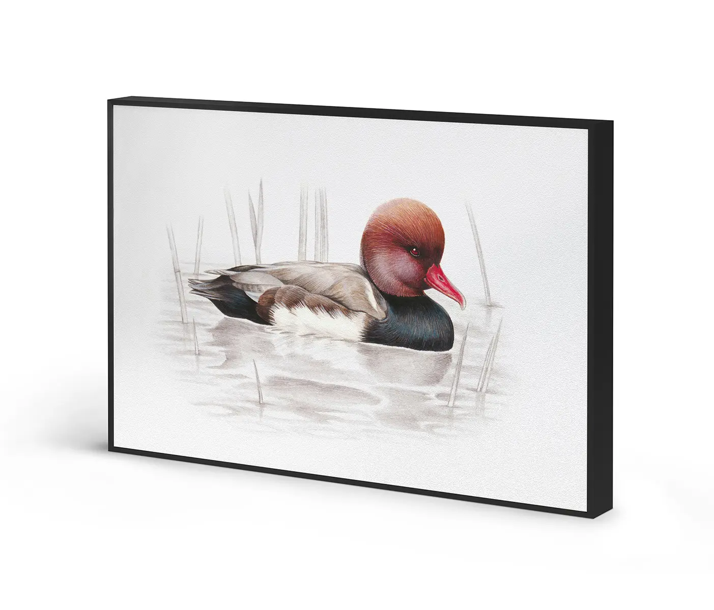 NC Design Group® - Acousticframe | NCD-SLU09-AF