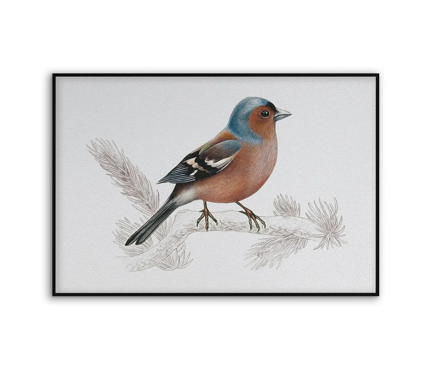 NC Design Group® - Acousticframe | NCD-SLU10-AF