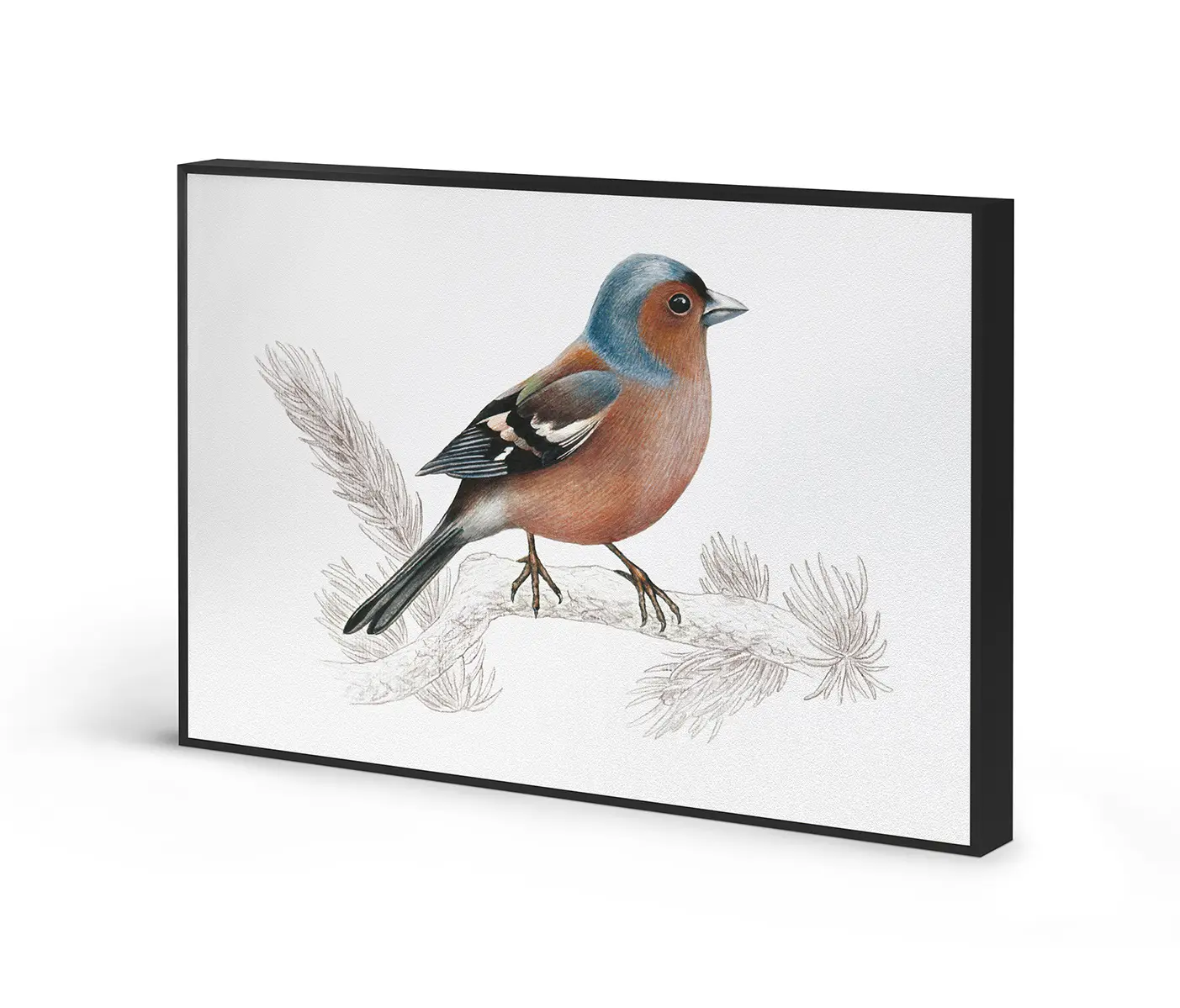 NC Design Group® - Acousticframe | NCD-SLU10-AF