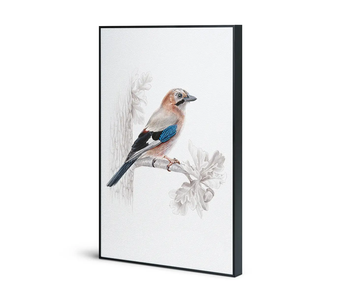 NC Design Group® - Acousticframe | NCD-SLU11-AF