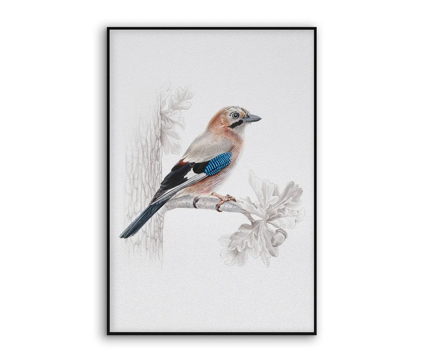 NC Design Group® - Acousticframe | NCD-SLU11-AF