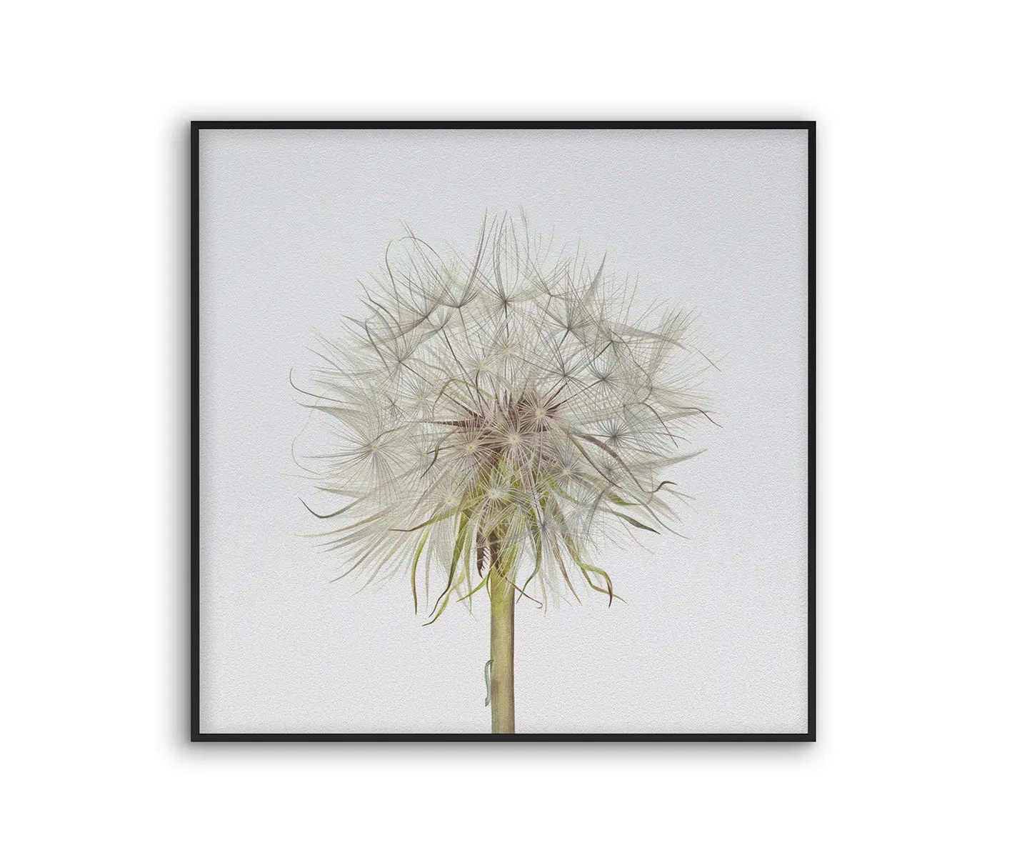 NC Design Group® - Acousticframe | NCD-SLU12-AF