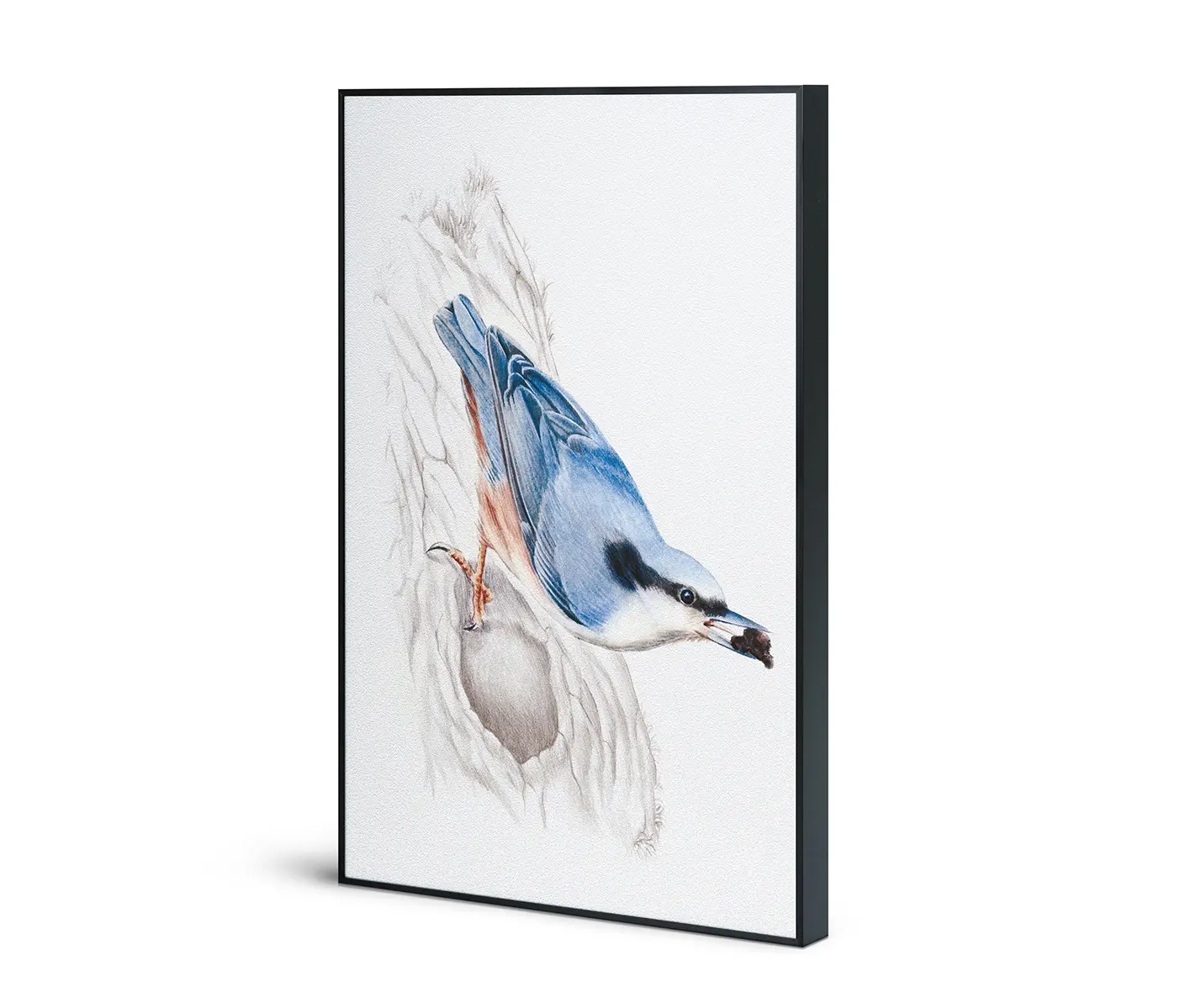 NC Design Group® - Acousticframe | NCD-SLU15-AF