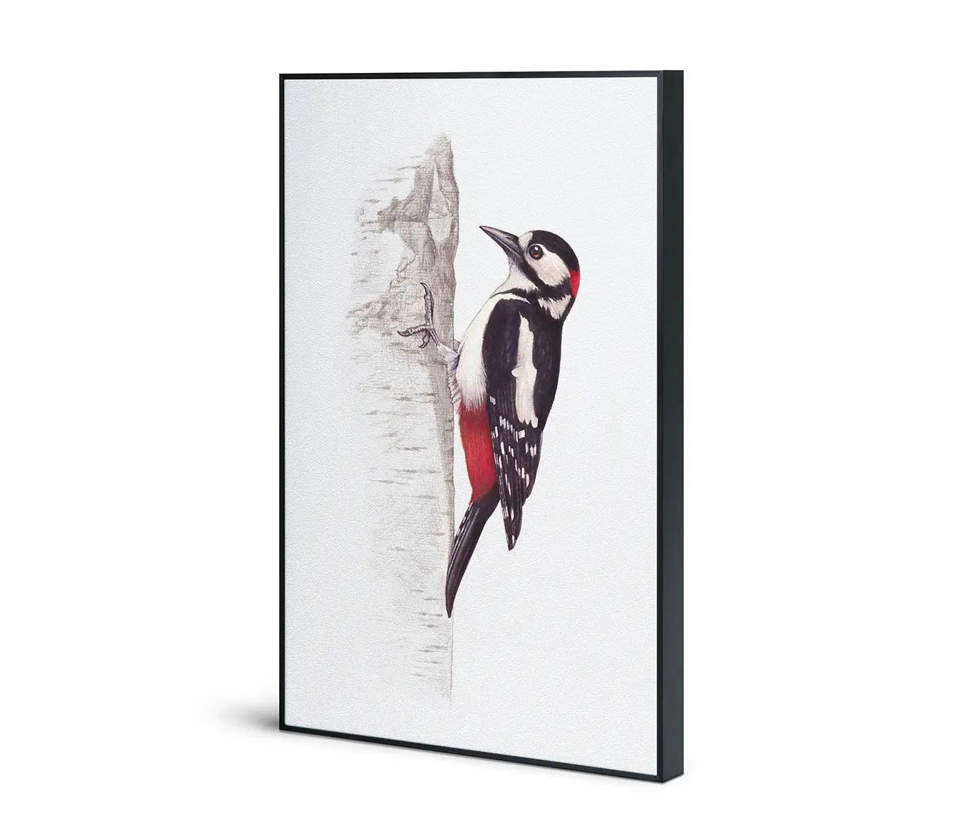 NC Design Group® - Acousticframe | NCD-SLU16-AF