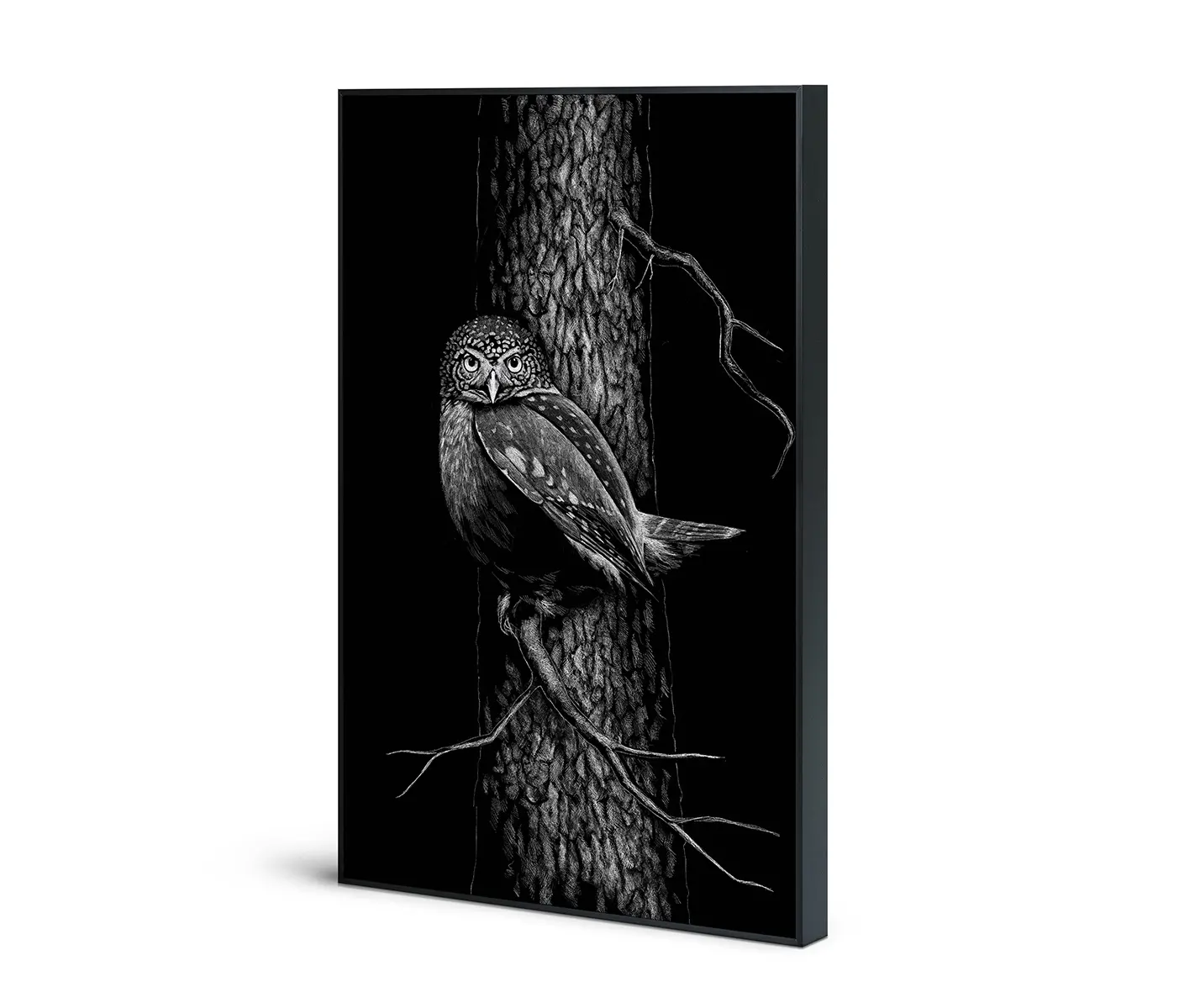 NC Design Group® - Acousticframe | NCD-SPR01-AF