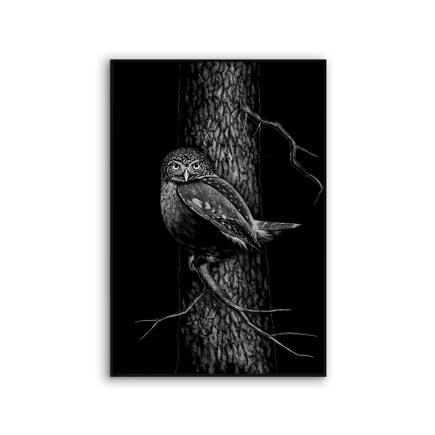 Acousticframe | NCD-SPR01-AF