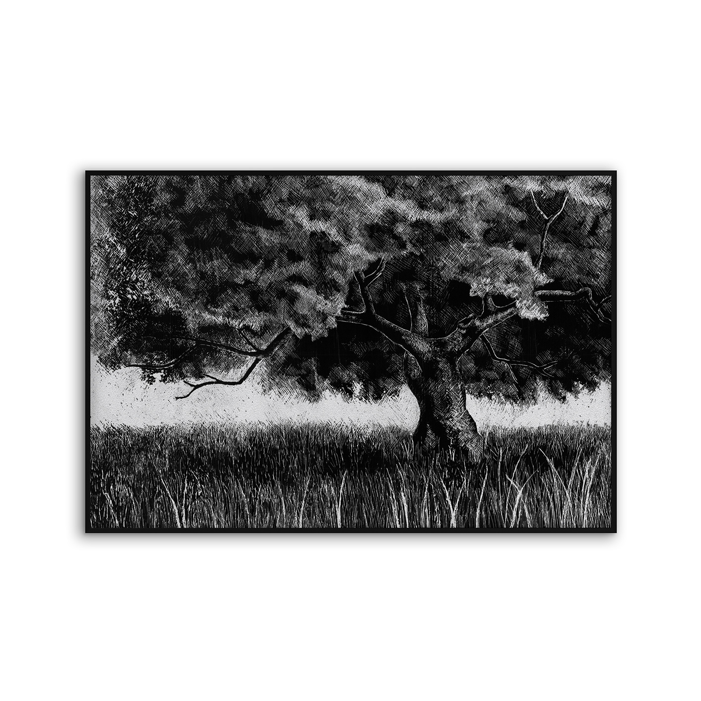Acousticframe | NCD-SPR04-AF