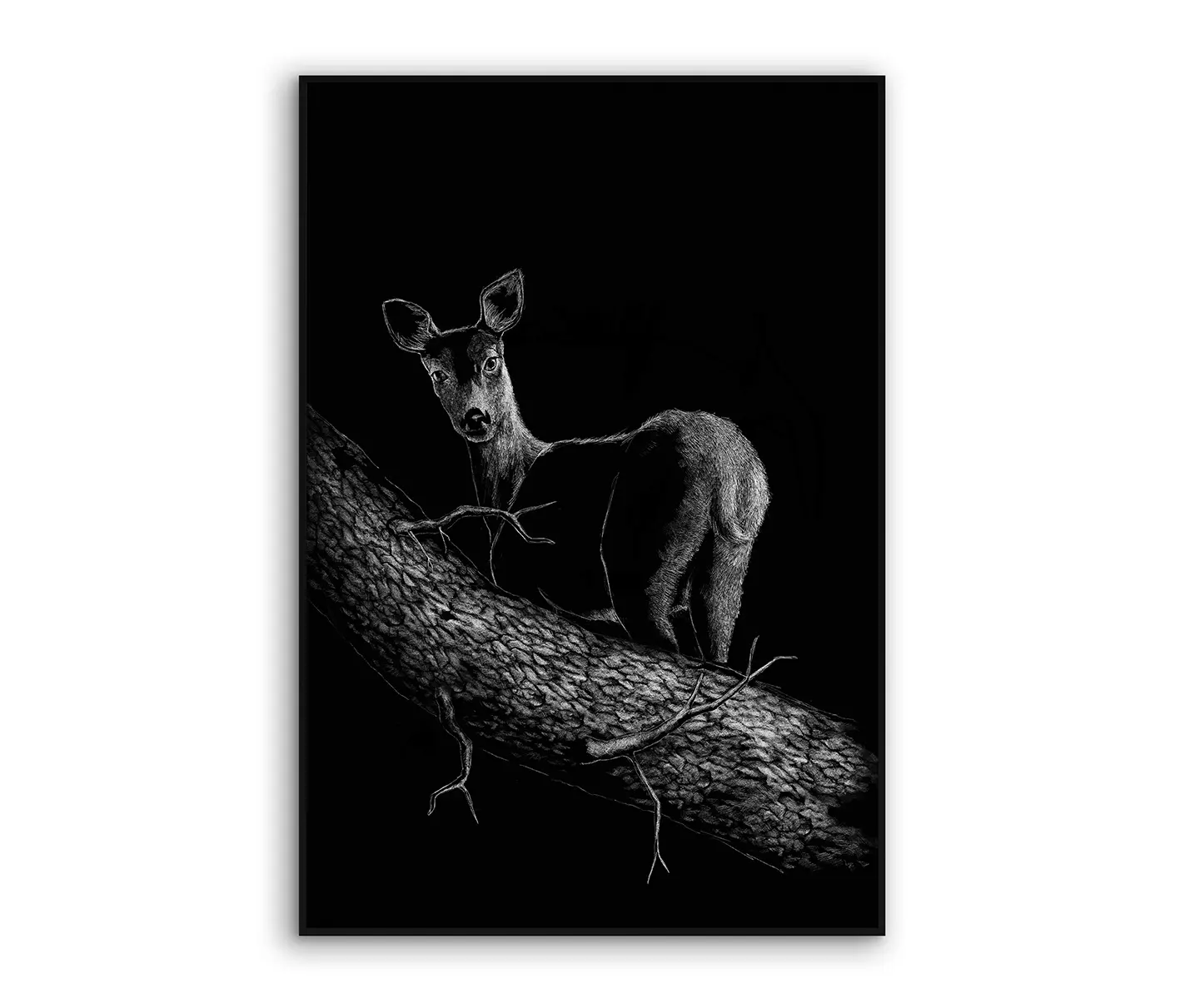 NC Design Group® - Acousticframe | NCD-SPR06-AF